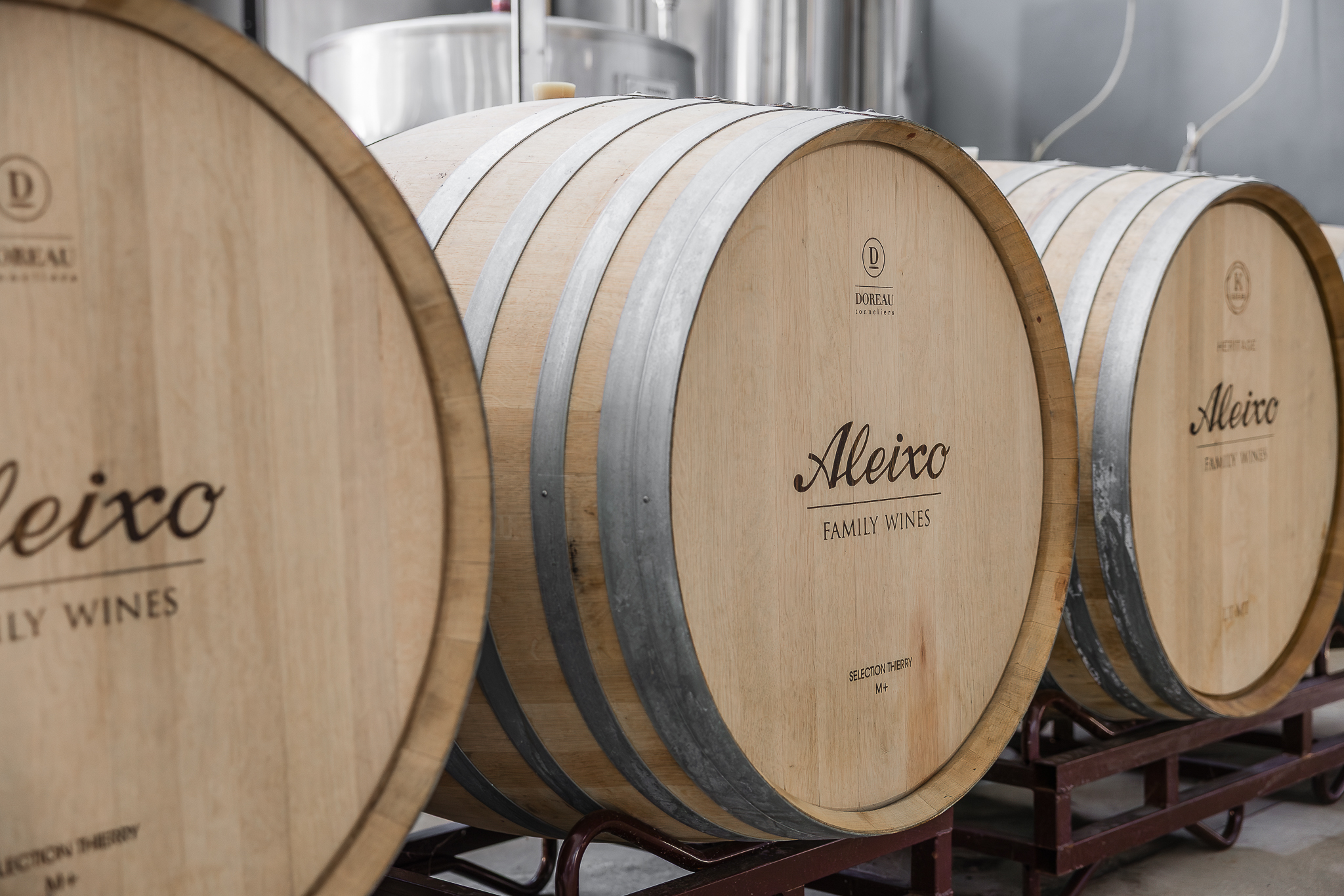 Passeio de segway e visita guiada à Real Cave do Cedro