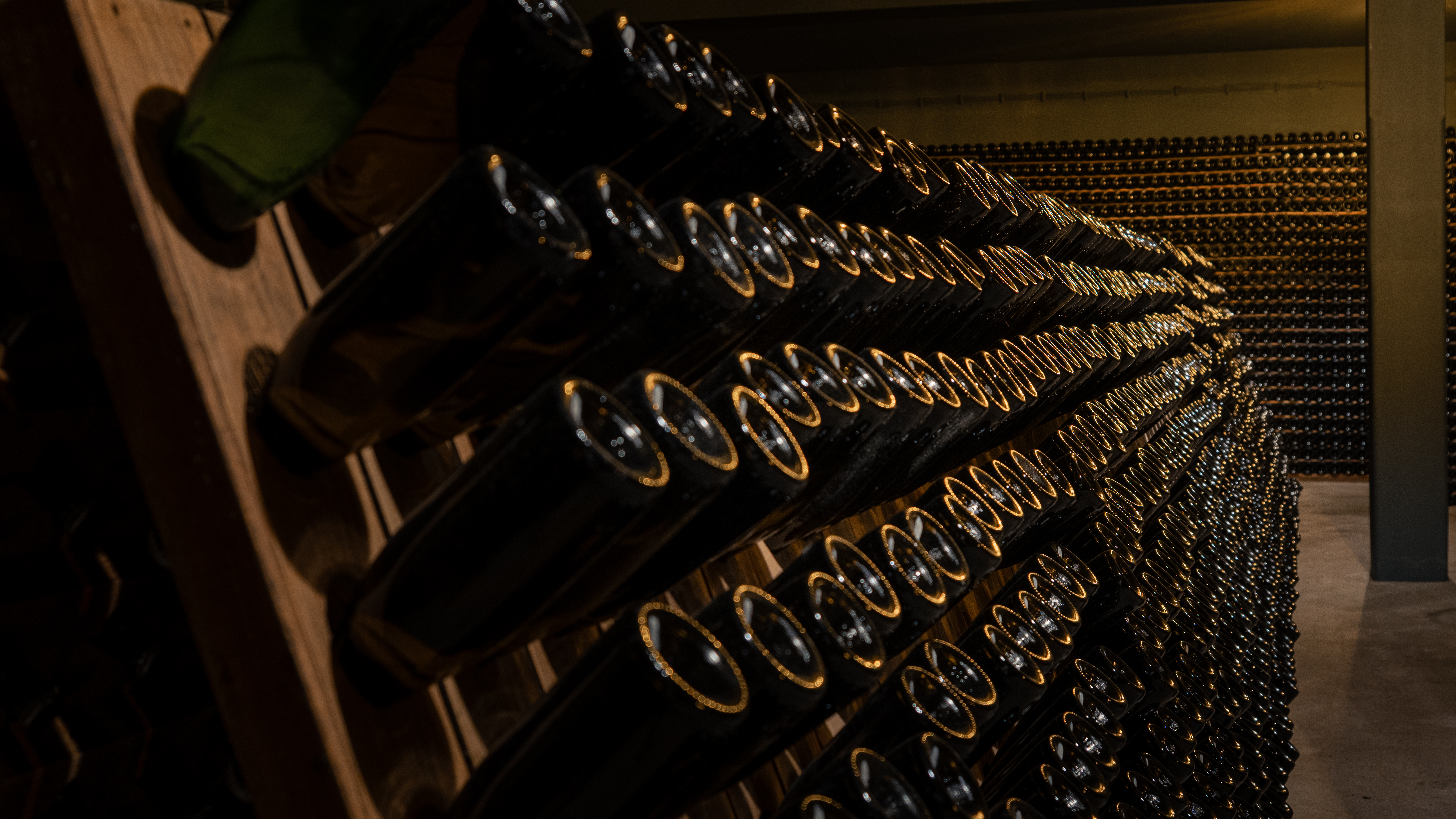 Passeio de segway e visita guiada à Real Cave do Cedro