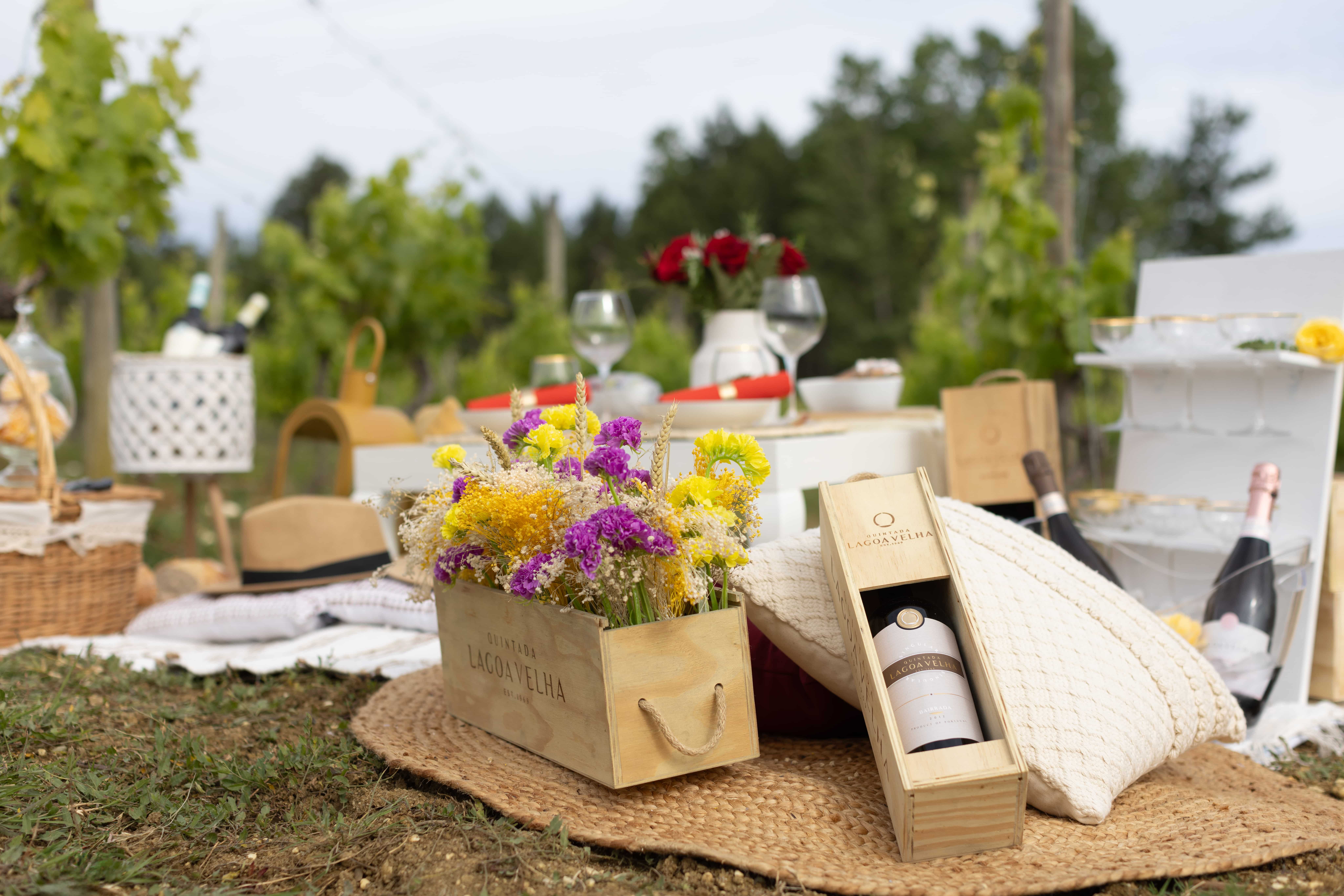Piquenique Bairradino na Quinta da Lagoa Velha
