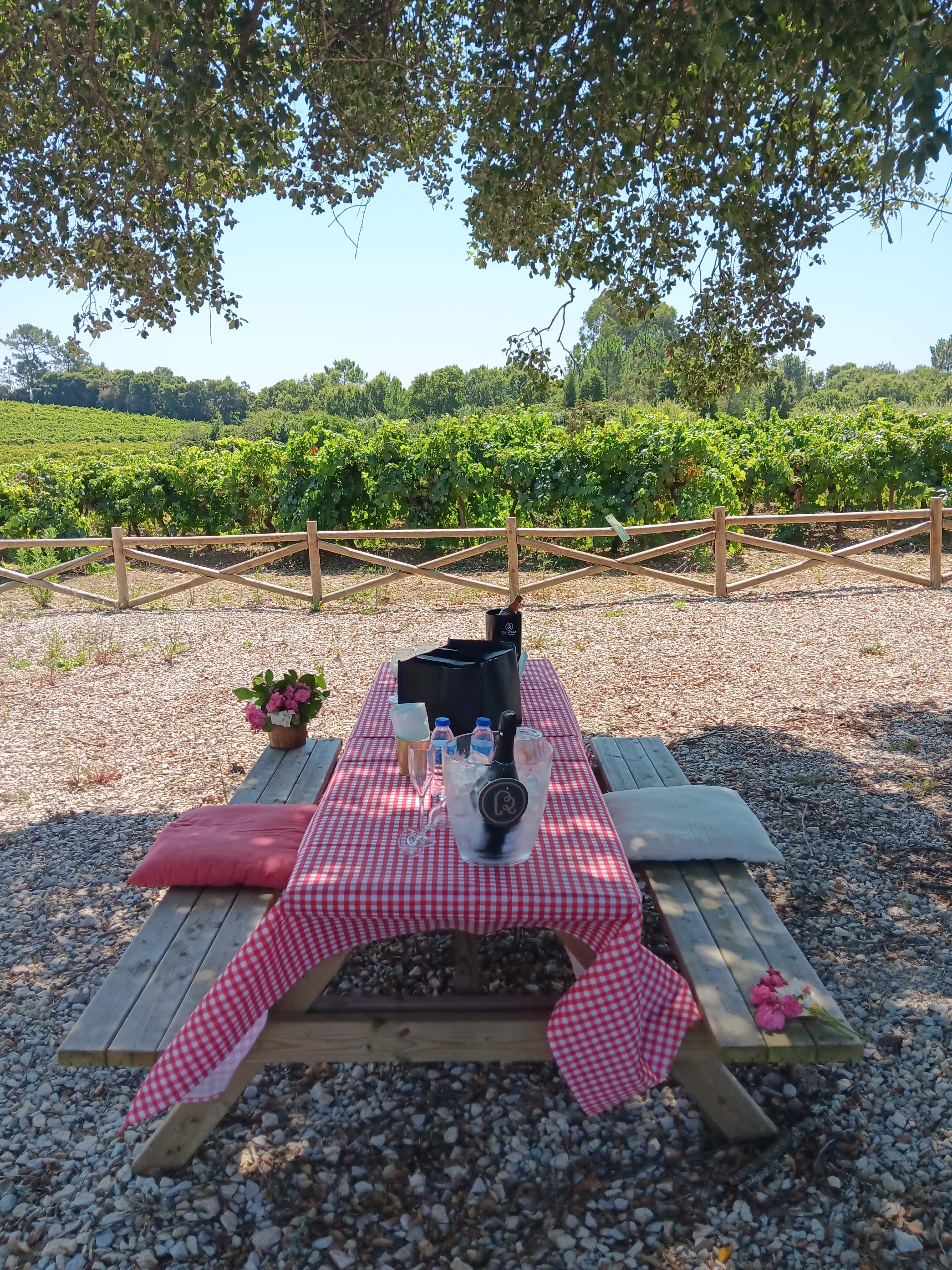 Bairrada Picnic by Rota da Bairrada