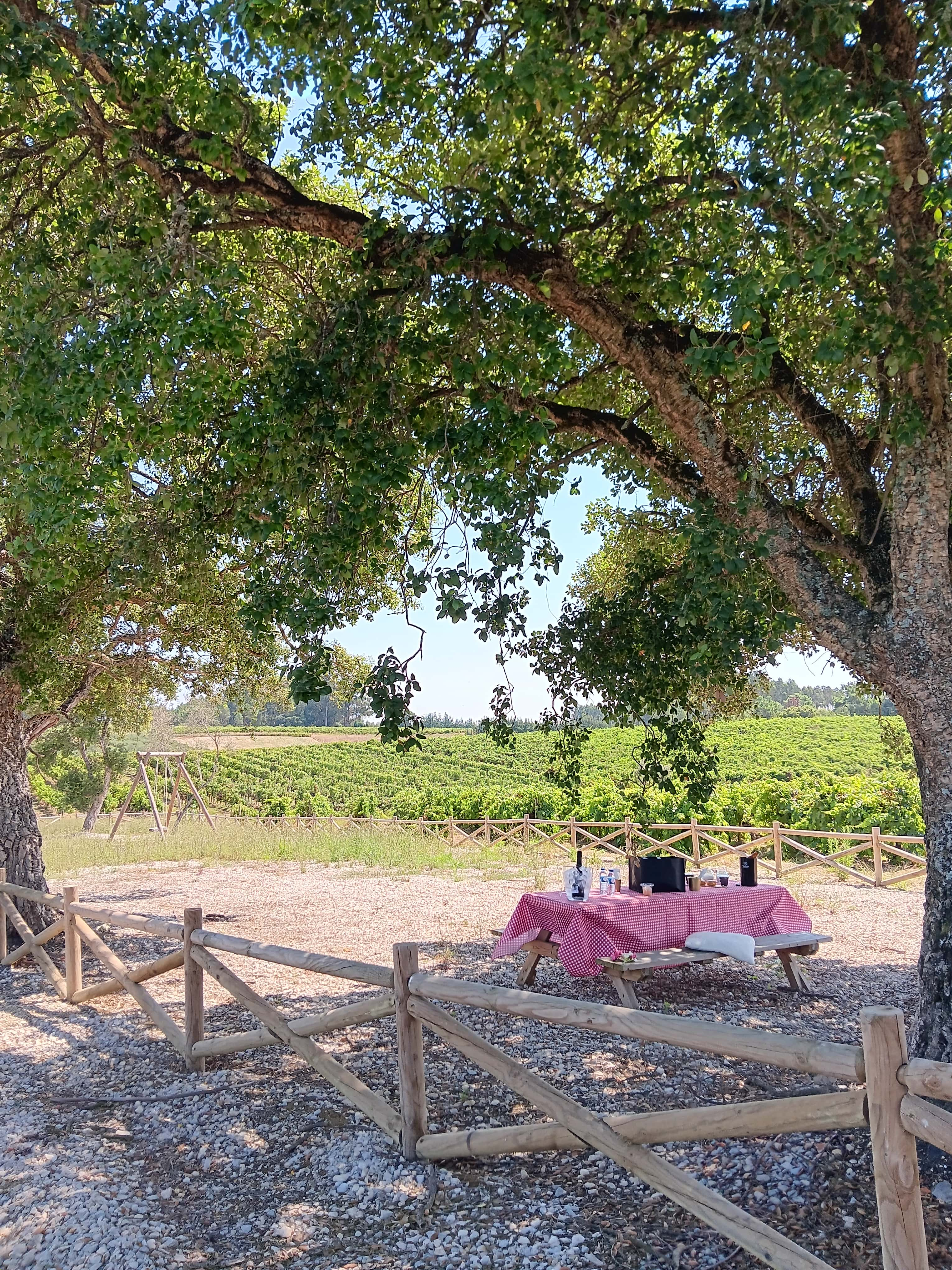 Bairrada Picnic by Rota da Bairrada