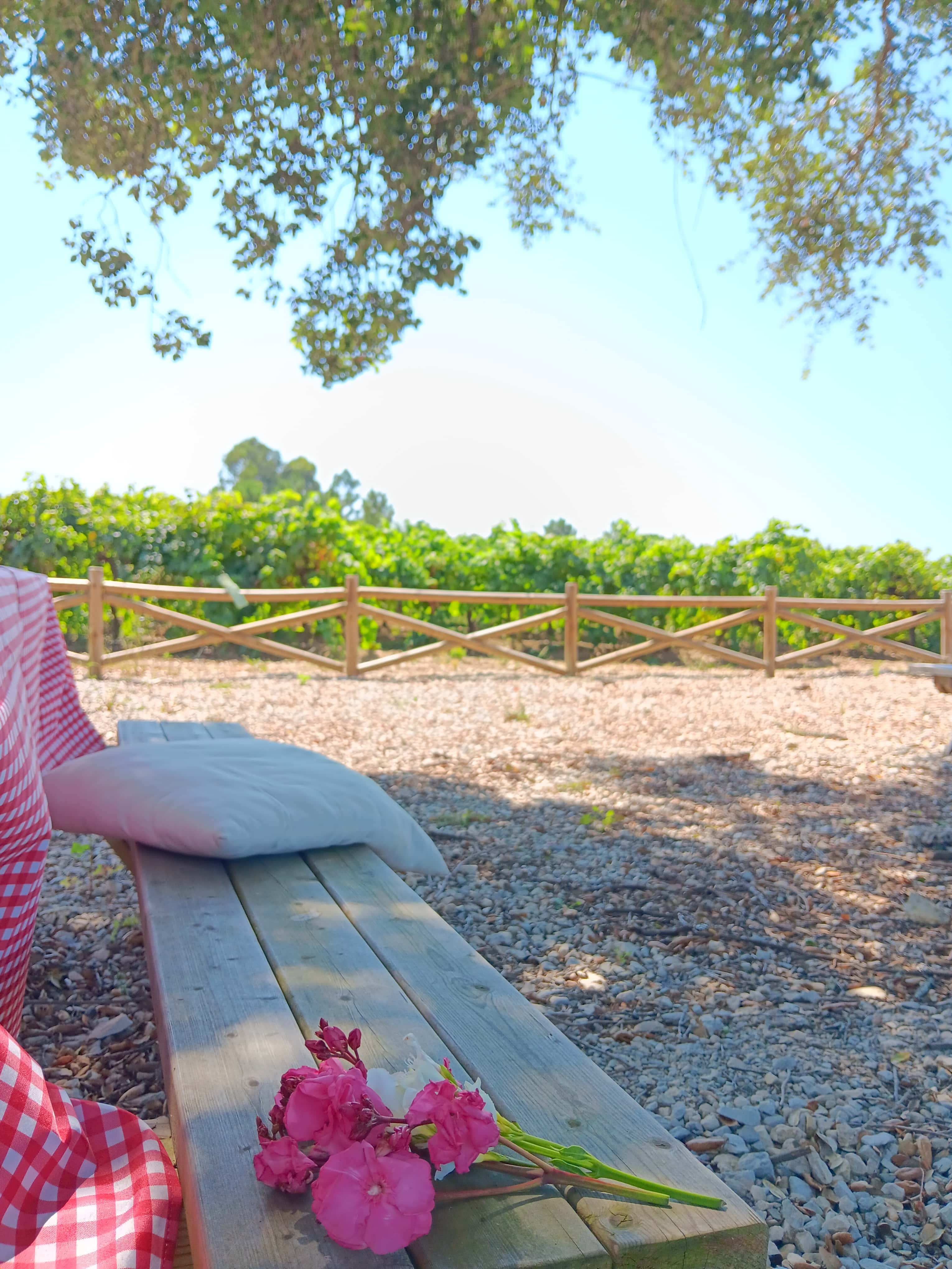 Picnic Bairradino by Rota da Bairrada