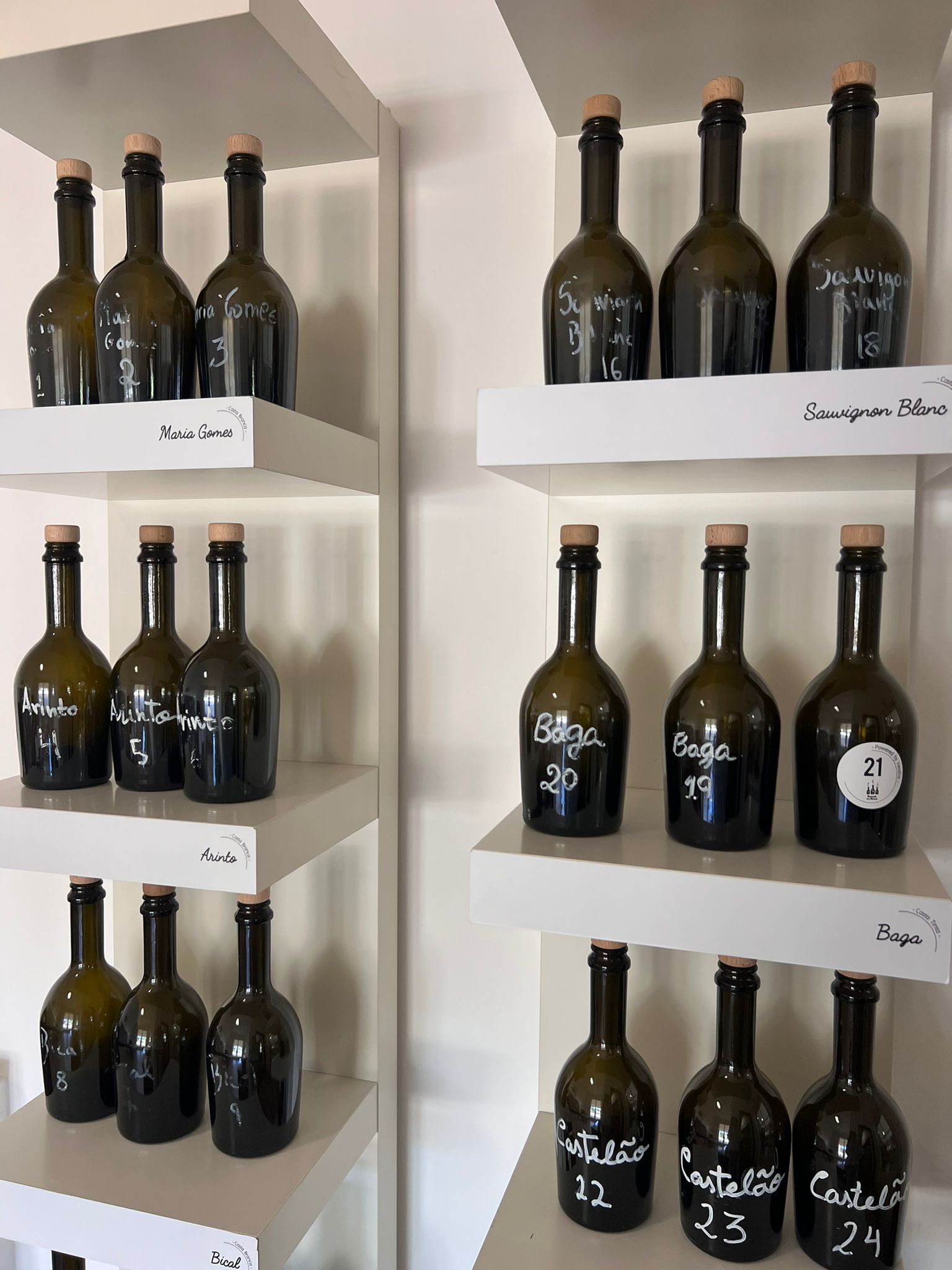 Juego de aromas by Rota da Bairrada