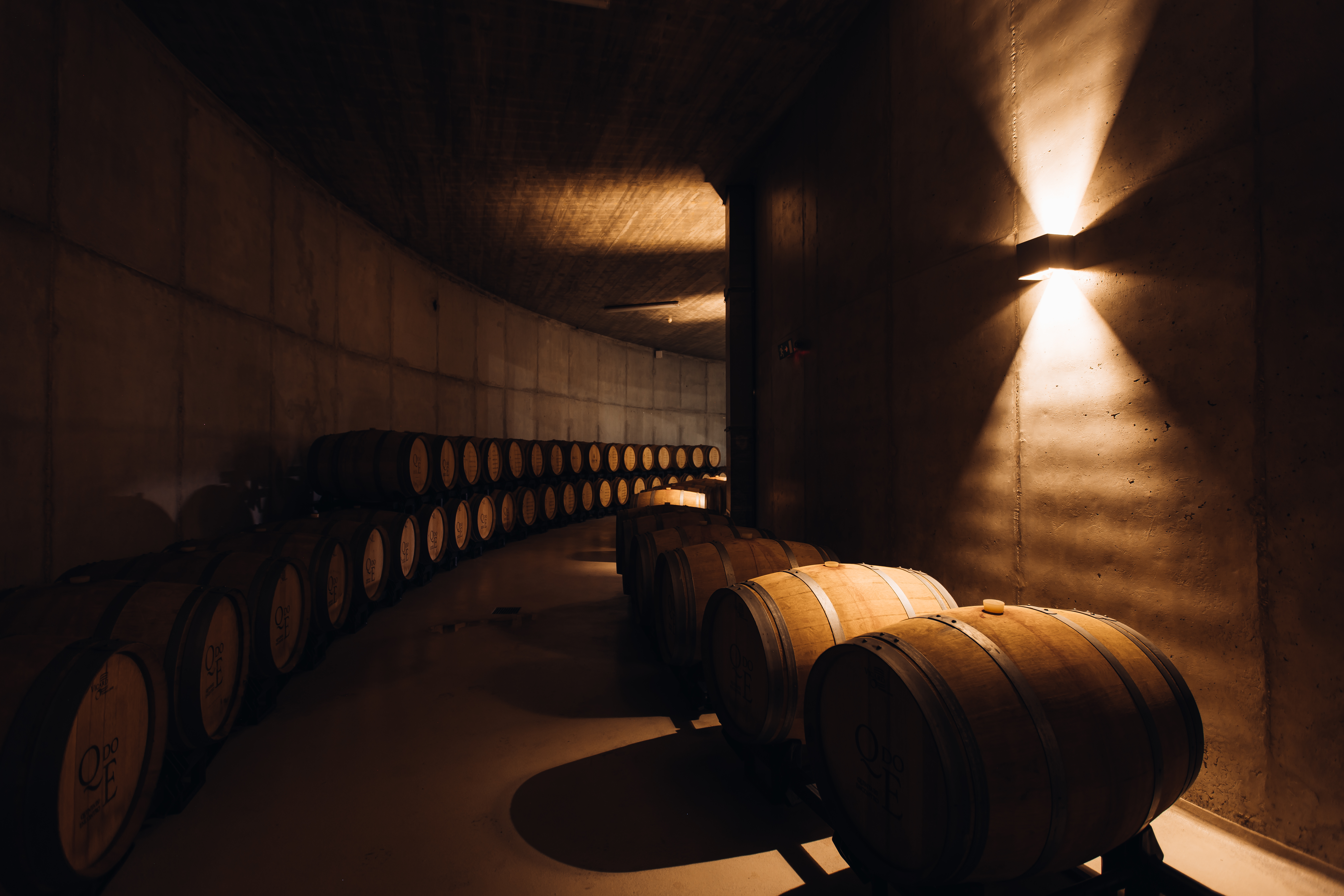 Visit and executive lunch - Quinta do Encontro