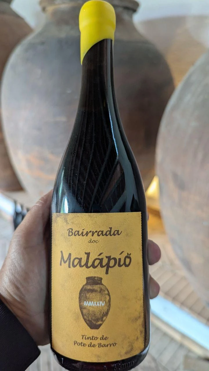 ESPECIAL VINDIMAS 2025 @ MALÁPIO