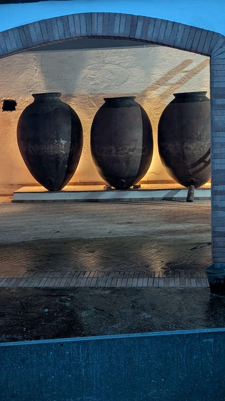 SPECIAL HARVEST 2025 @ MALÁPIO