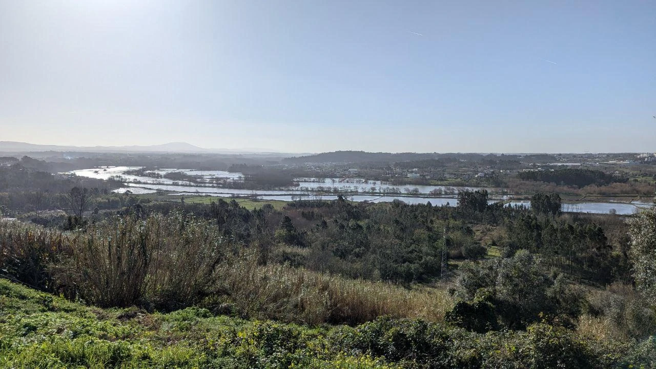 SPECIAL HARVEST 2025 @ MALÁPIO