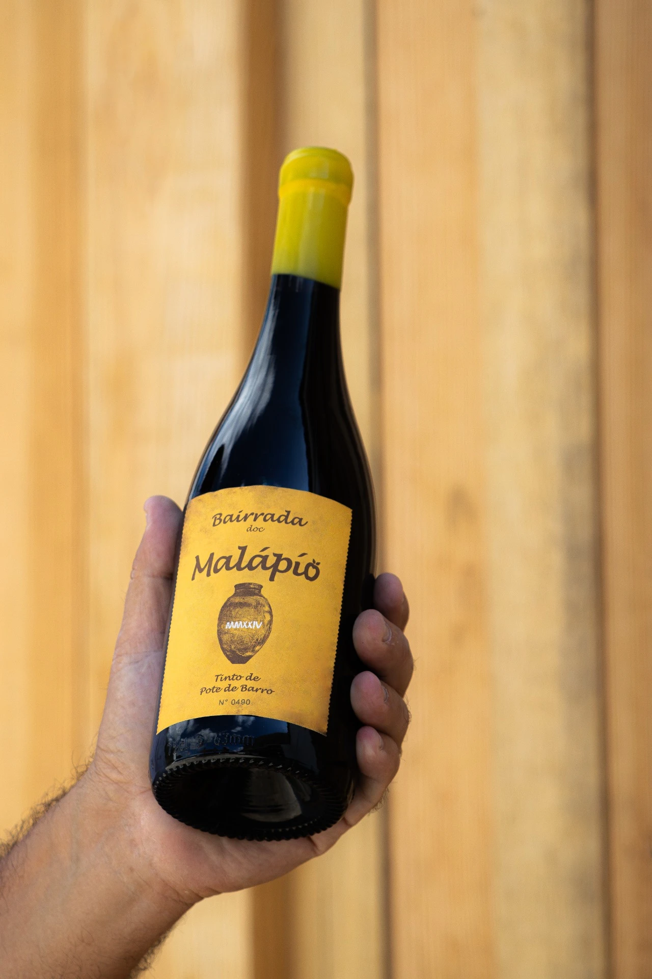 Cata de vinos Adega Malápio (vino de Talha Bairrada)