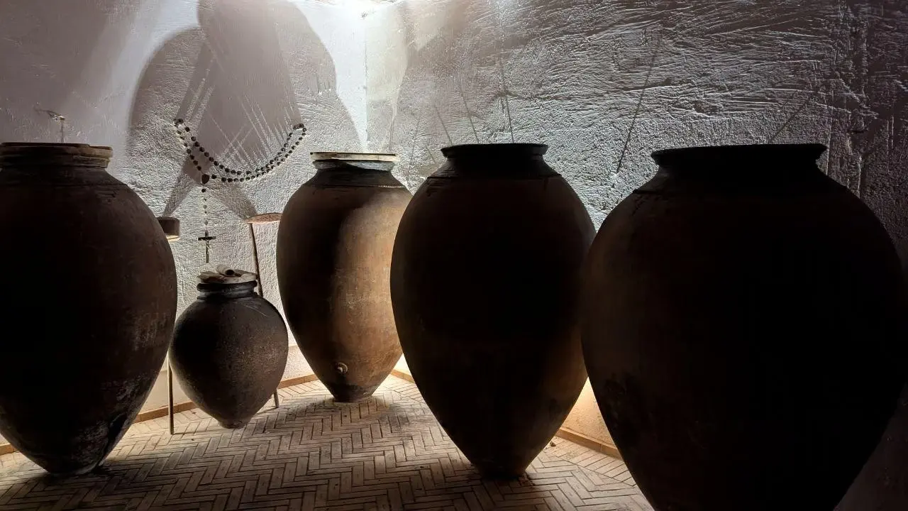 Malápio Winery Wine Tasting (Bairrada Talha Wine)