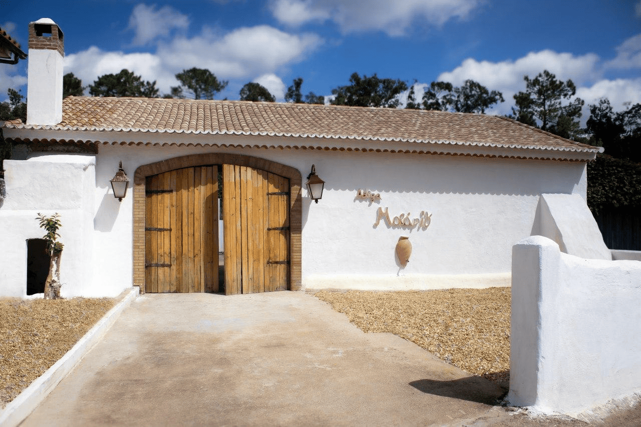 VISITA & PROVA DE VINHOS TALHA + SANDES DE LEITÃO