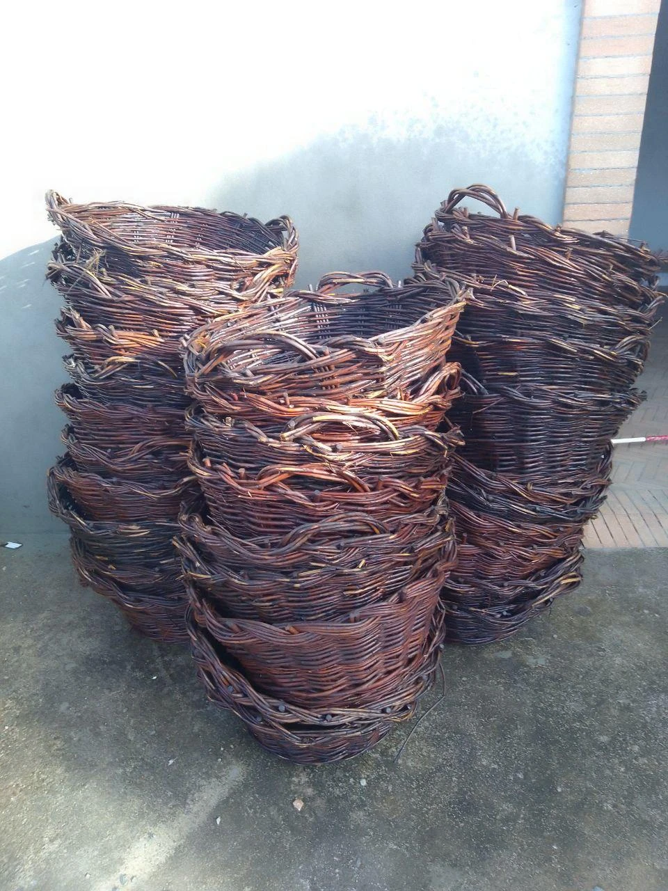 Adega Malápio | Bairrada Talha Wines