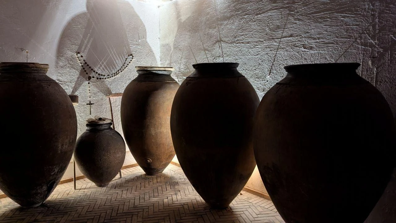 Visita às Vinhas Malápio | Vinho de Talha Bairrada