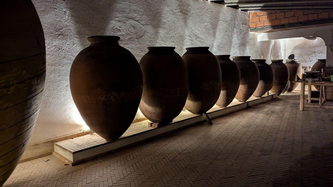 Wine Retreat in Bairrada with Adega Malápio | Talha Bairrada Wines