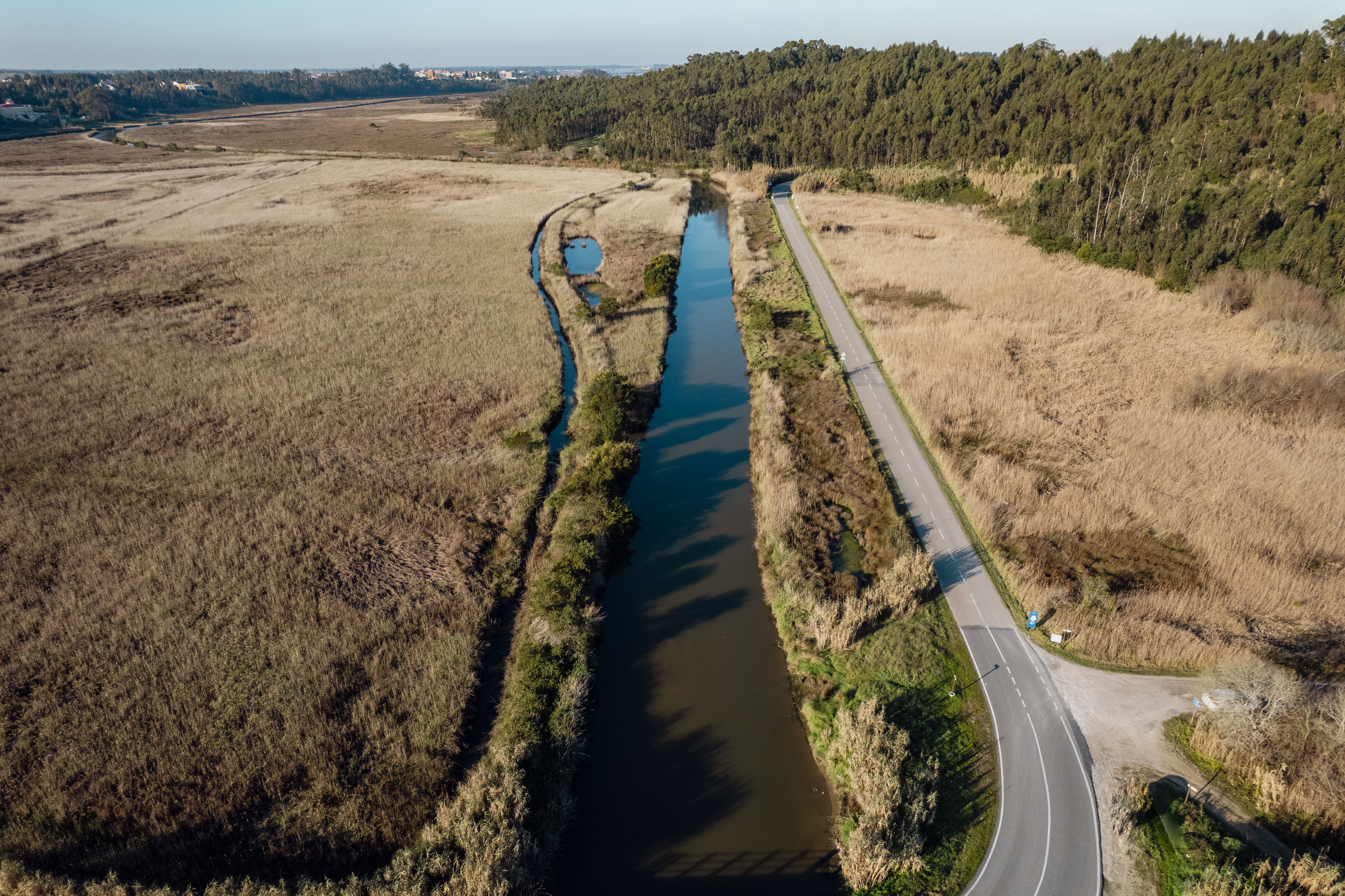 Nature Trail Rio Boco- PR3