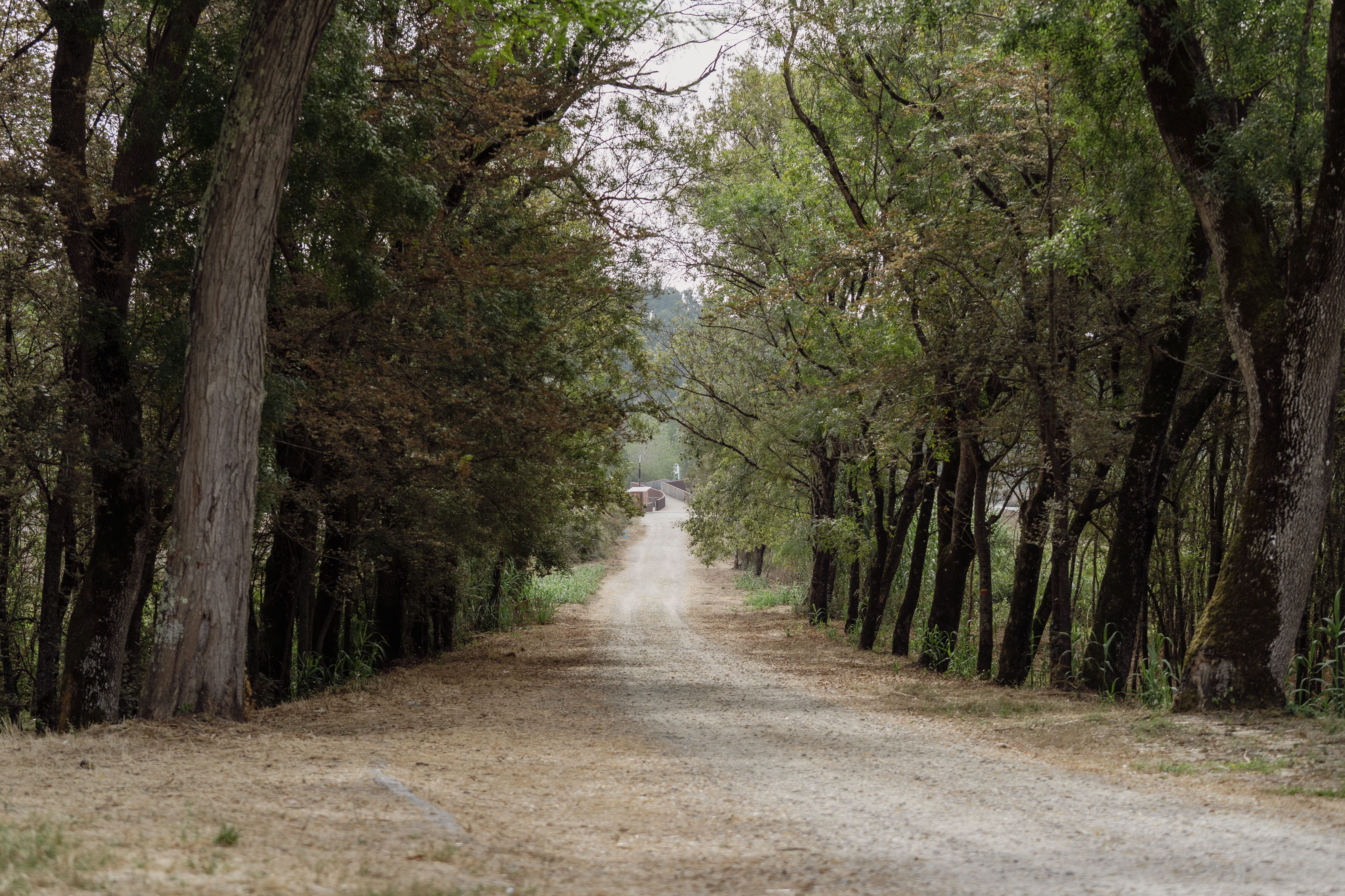 Nature Trail Rio Boco- PR3