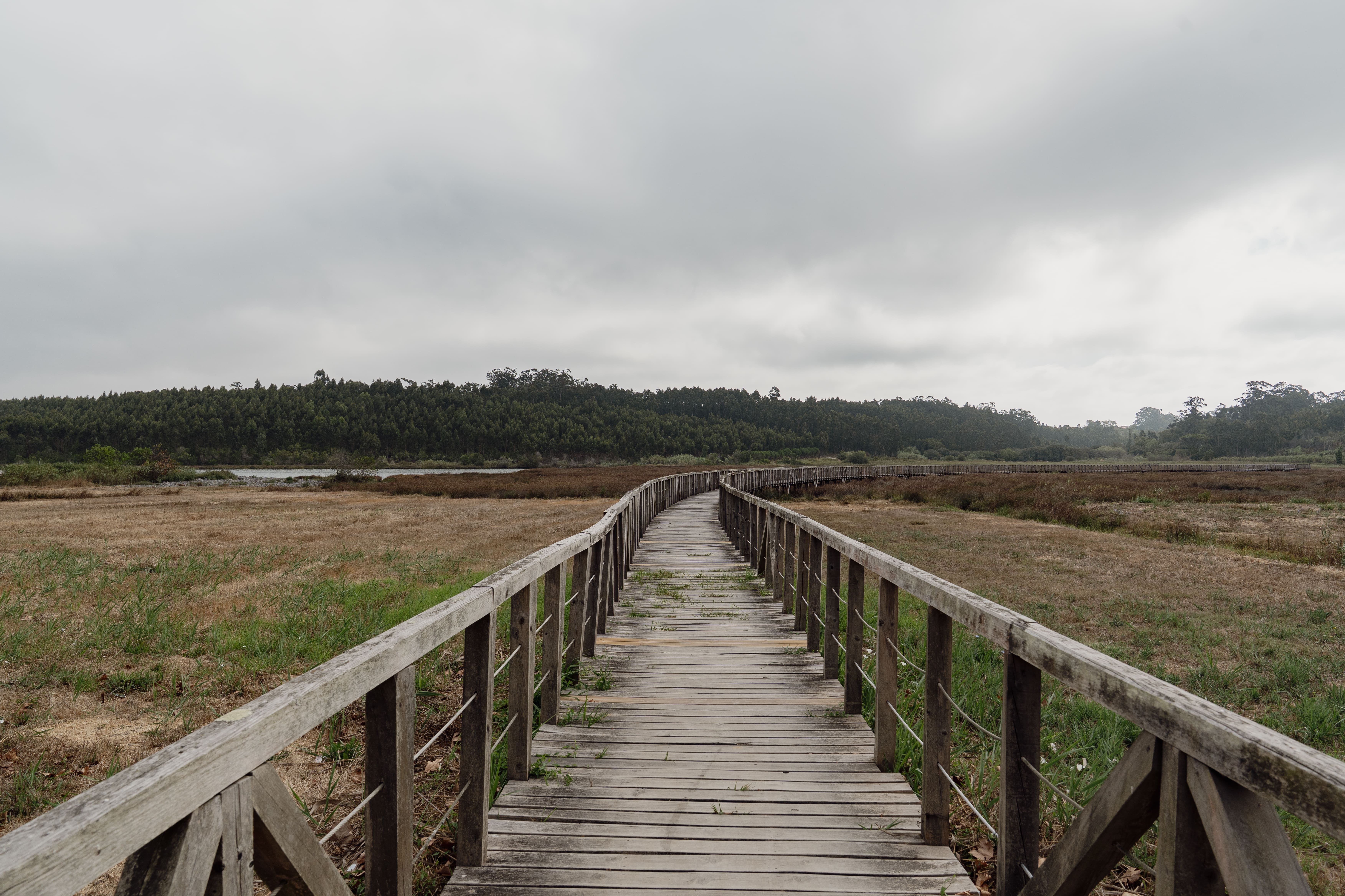 Nature Trail Rio Boco- PR3