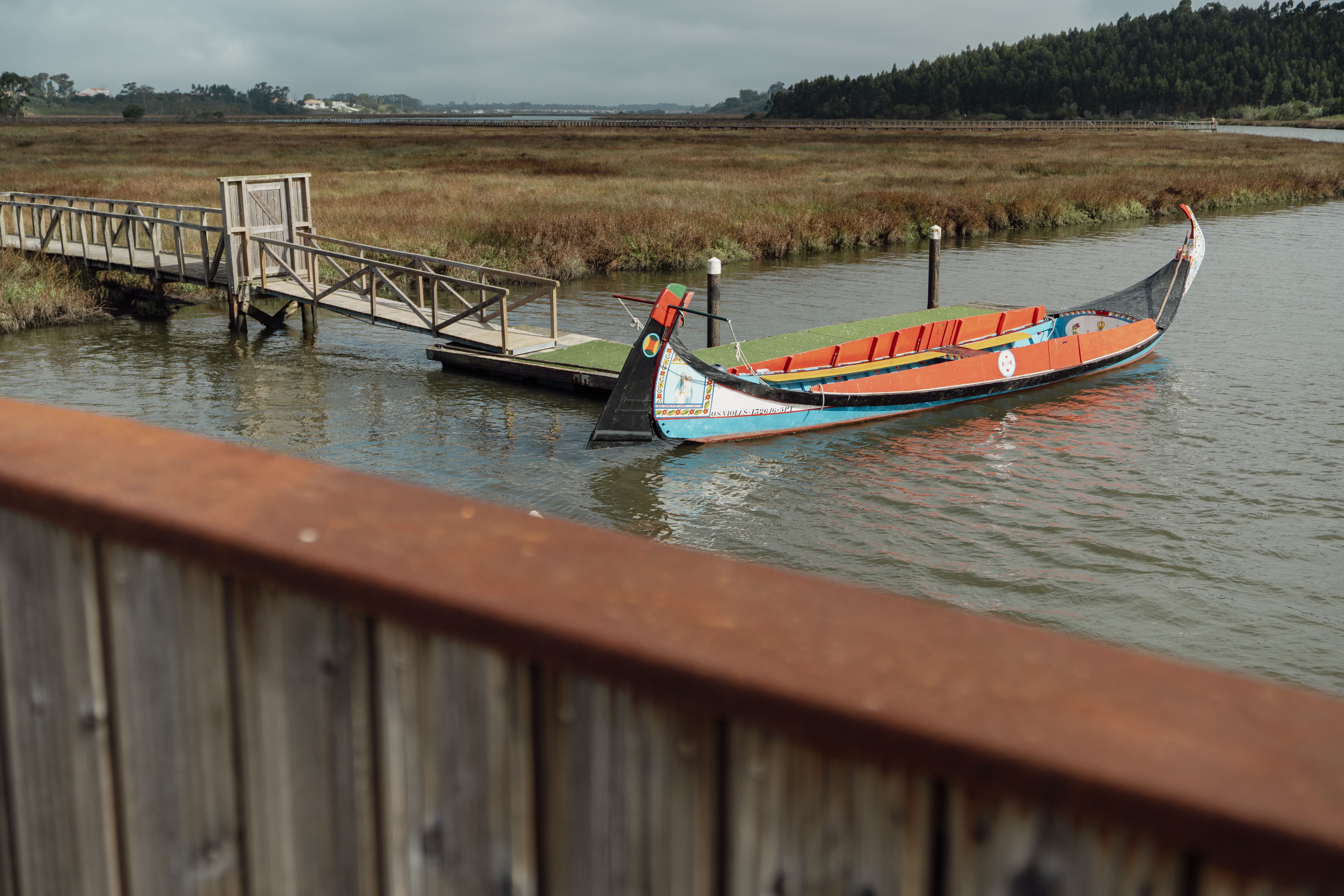 Barco Moliceiro “Os Violas”
