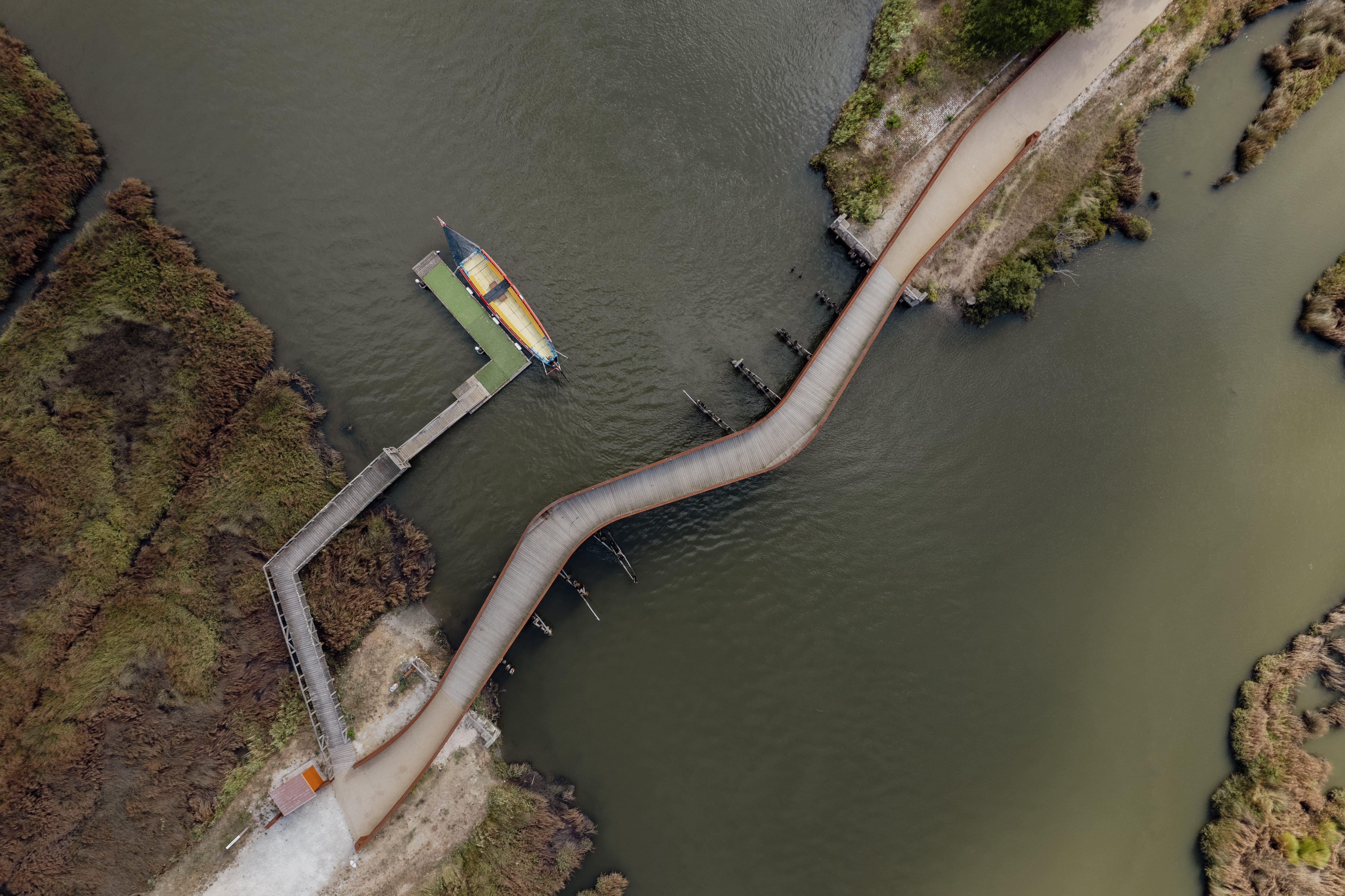 Barco Moliceiro “Os Violas”