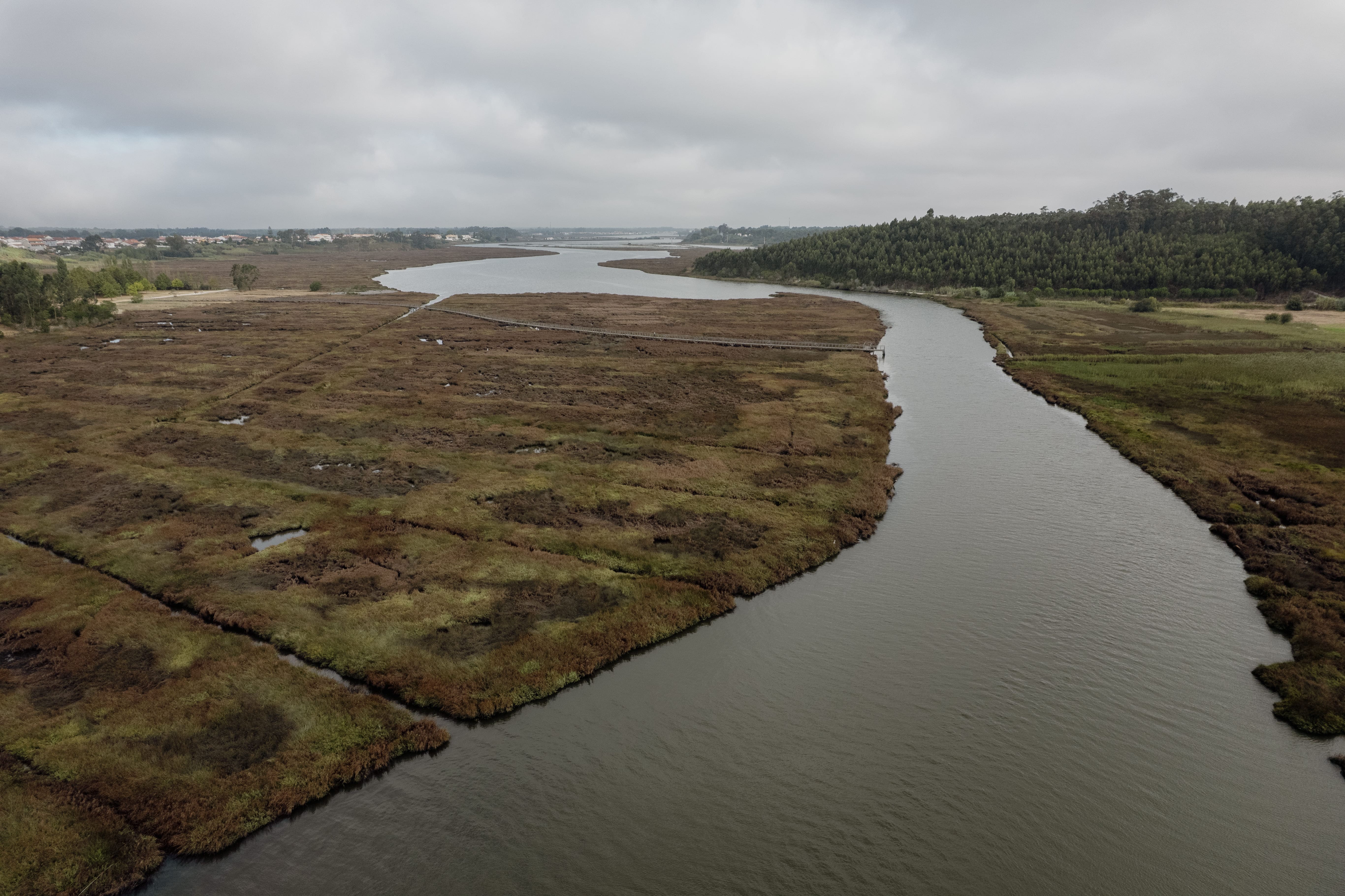 Barco Moliceiro “Os Violas”