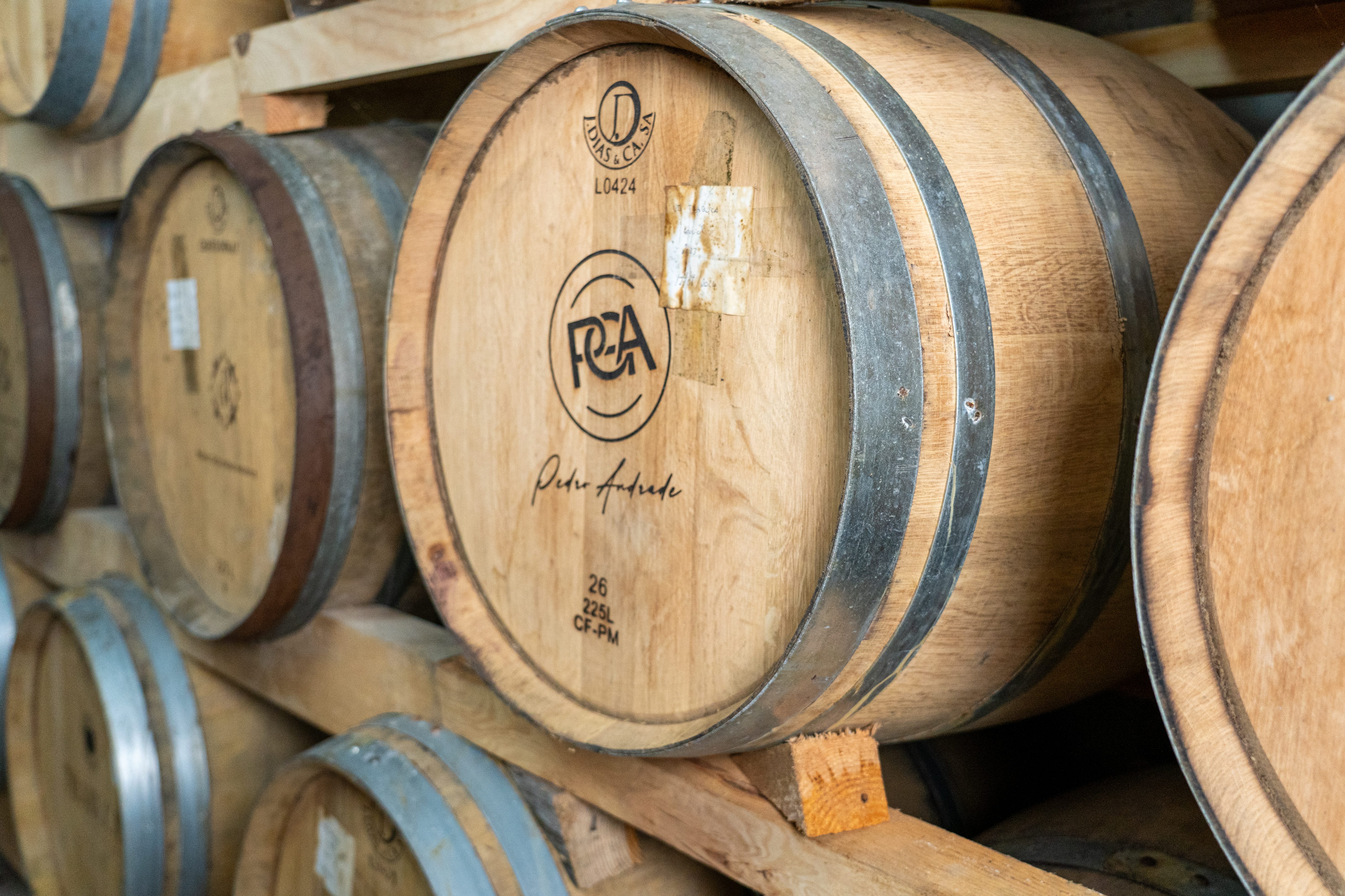 Visita guiada a la bodega PGA - Pedro Guilherme de Andrade