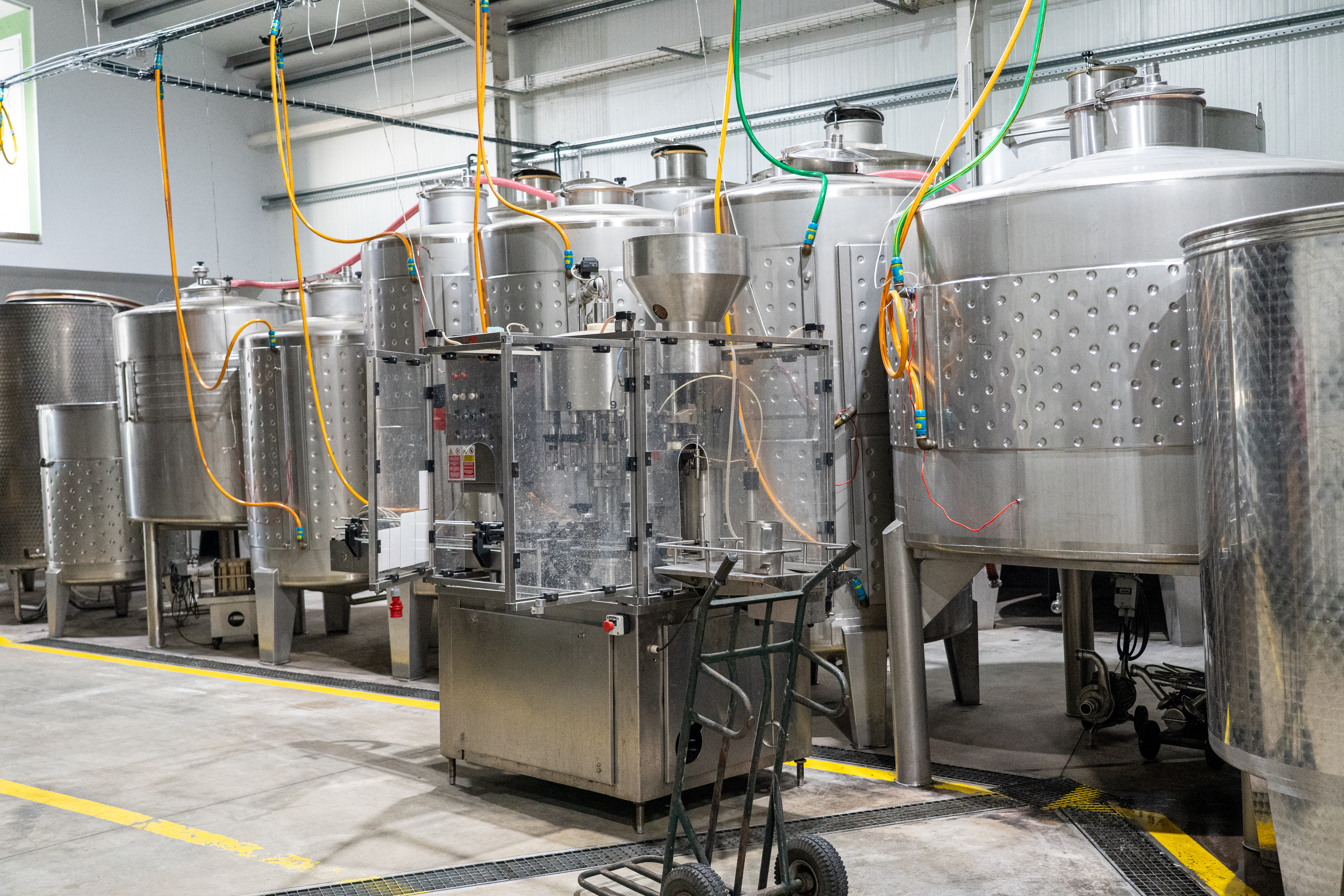 Visita guiada a la bodega PGA - Pedro Guilherme de Andrade