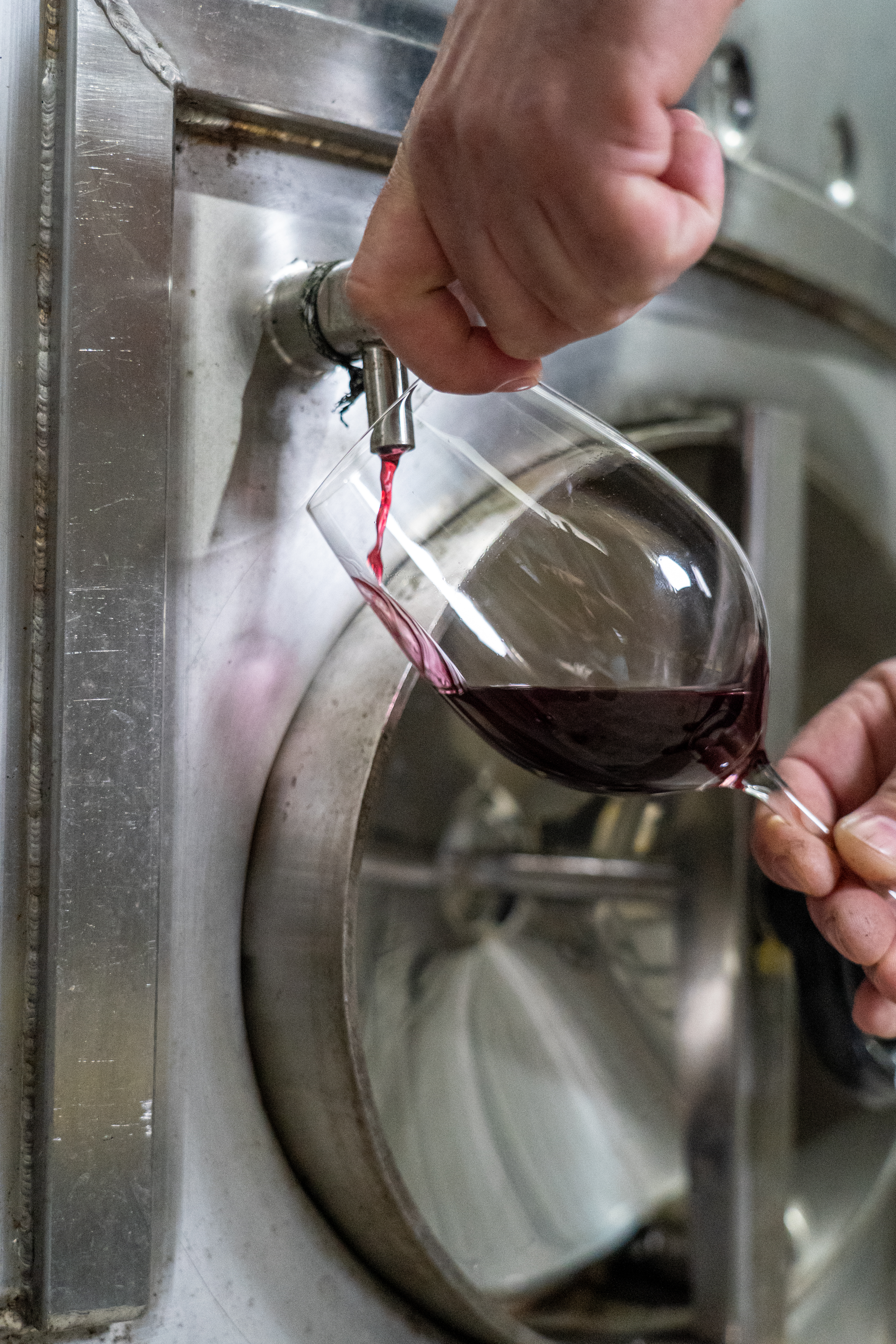 Visita a los Viñedos y la bodega PGA – Pedro Guilherme de Andrade