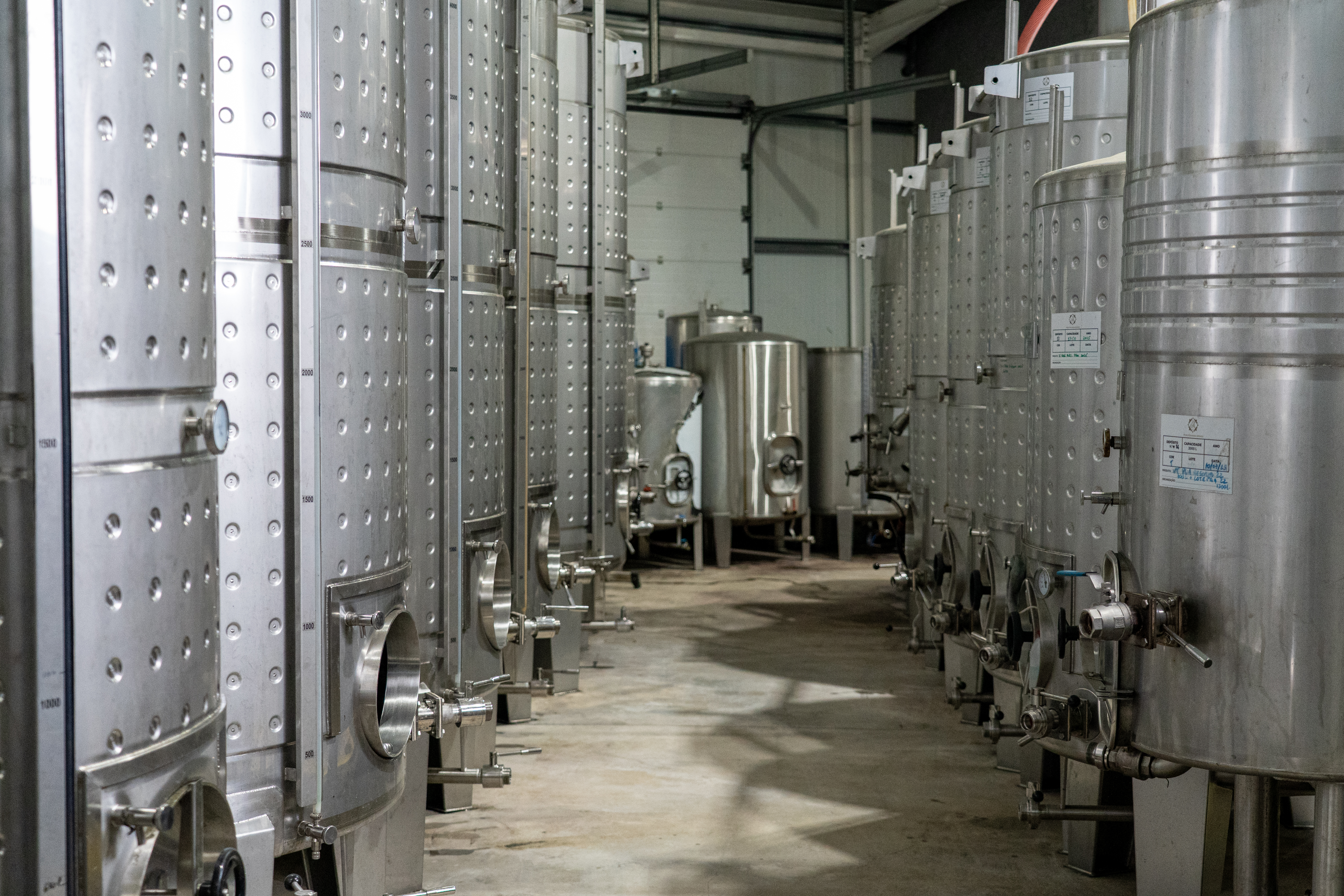 Visita a los Viñedos y la bodega PGA – Pedro Guilherme de Andrade