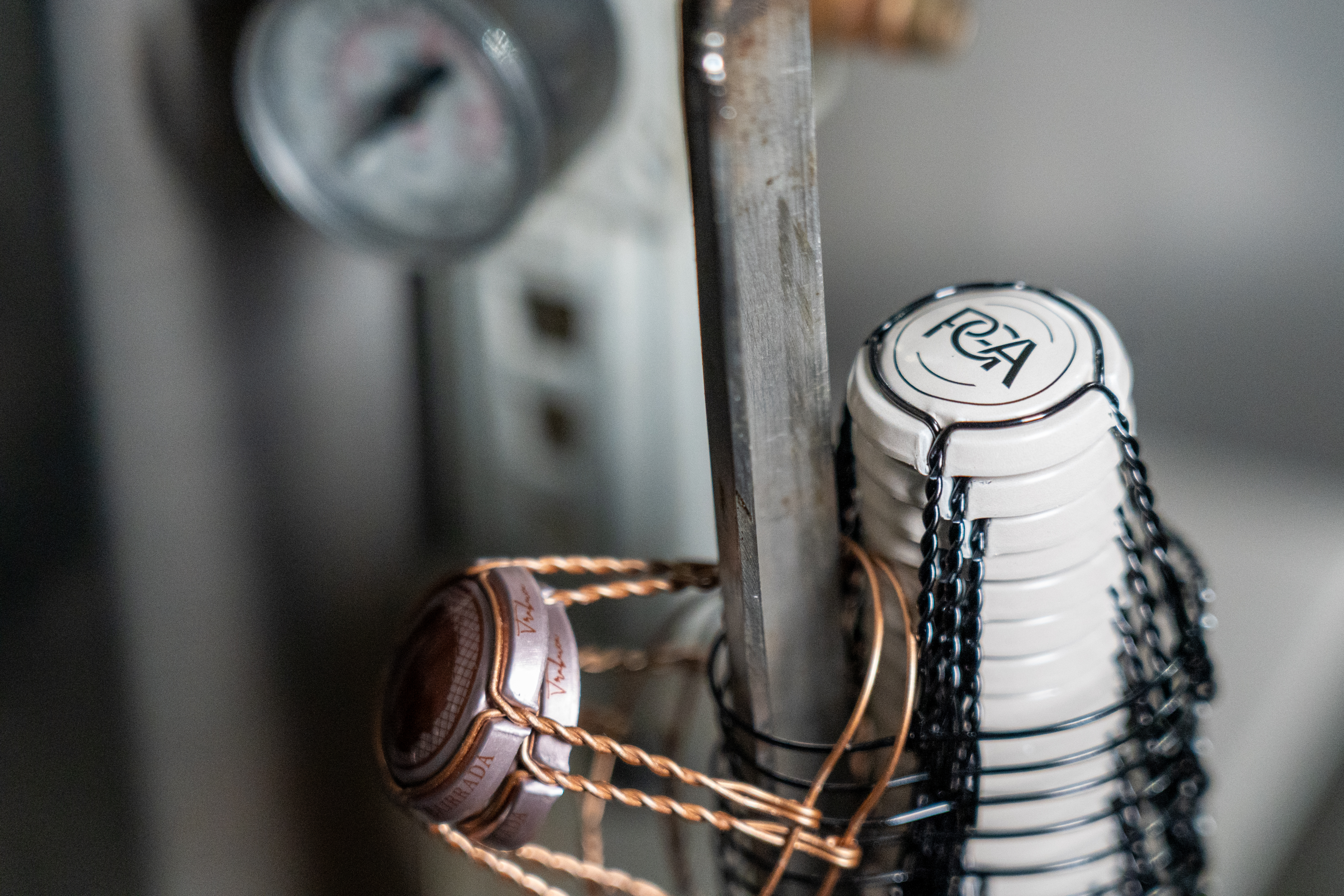 Visita a los Viñedos y la bodega PGA – Pedro Guilherme de Andrade