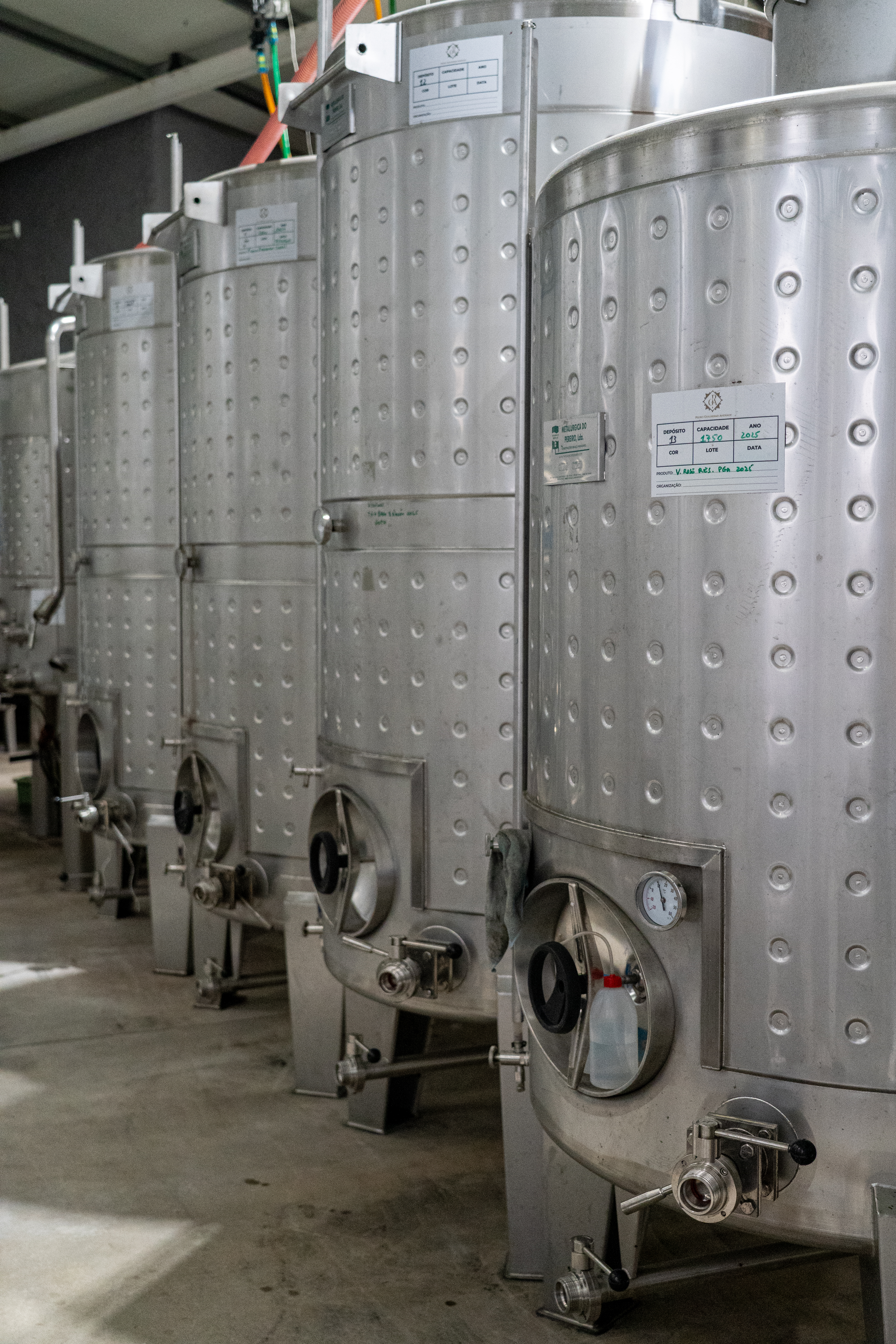 Almoço vínico na adega PGA - Pedro Guilherme de Andrade