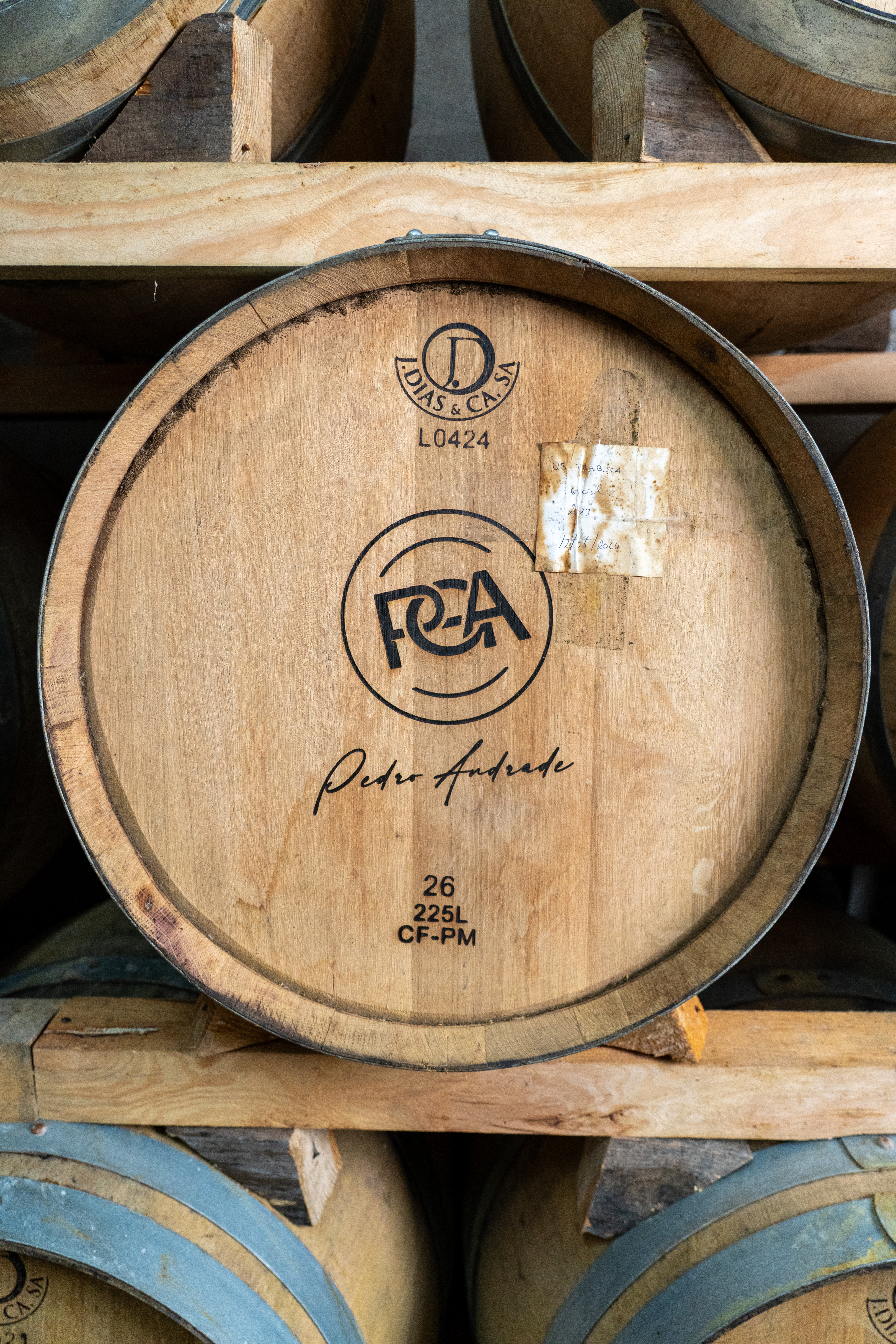 Almoço vínico na vinha do baloiço PGA - Pedro Guilherme de Andrade