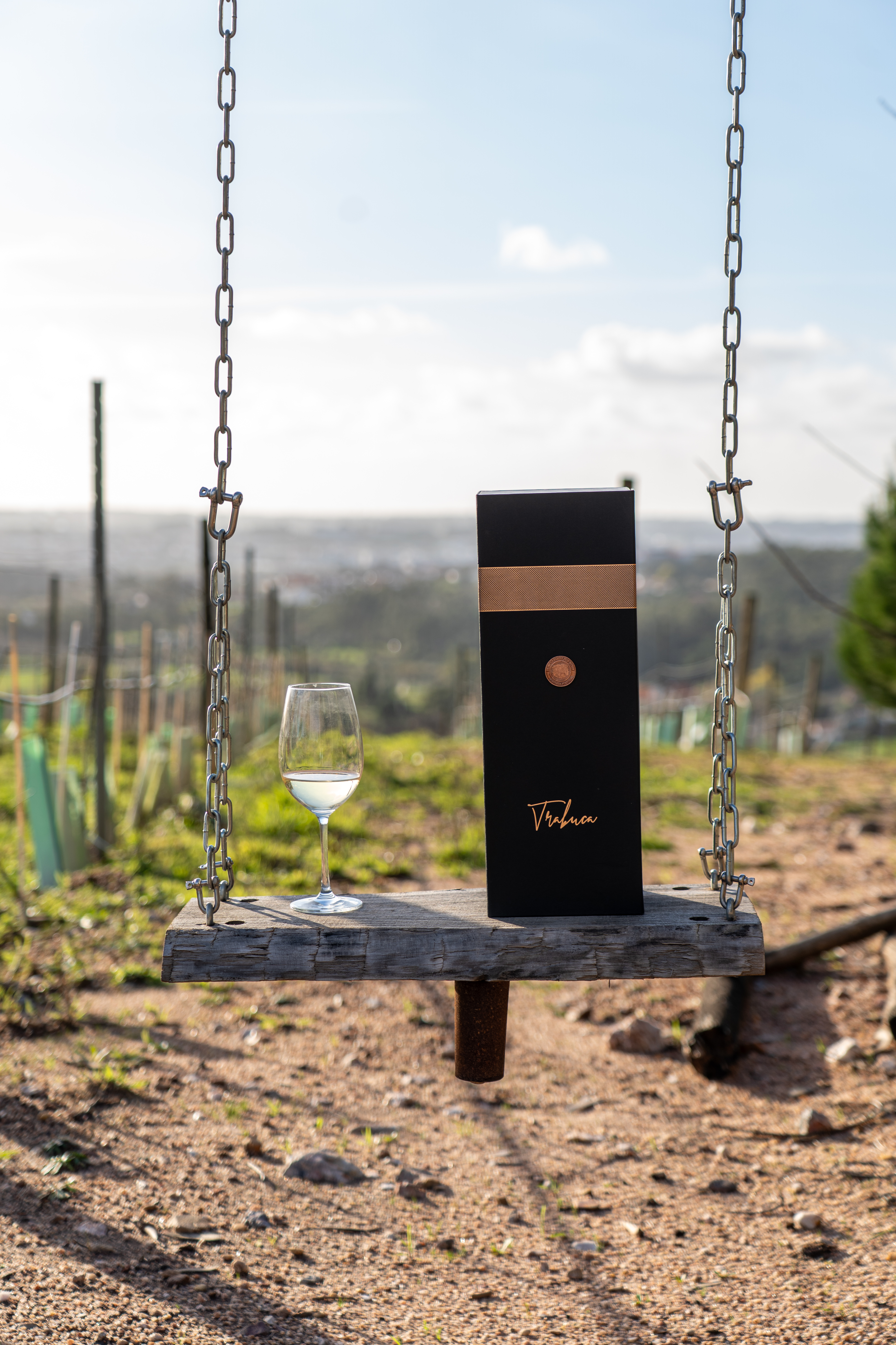 Almoço vínico na vinha do baloiço PGA - Pedro Guilherme de Andrade