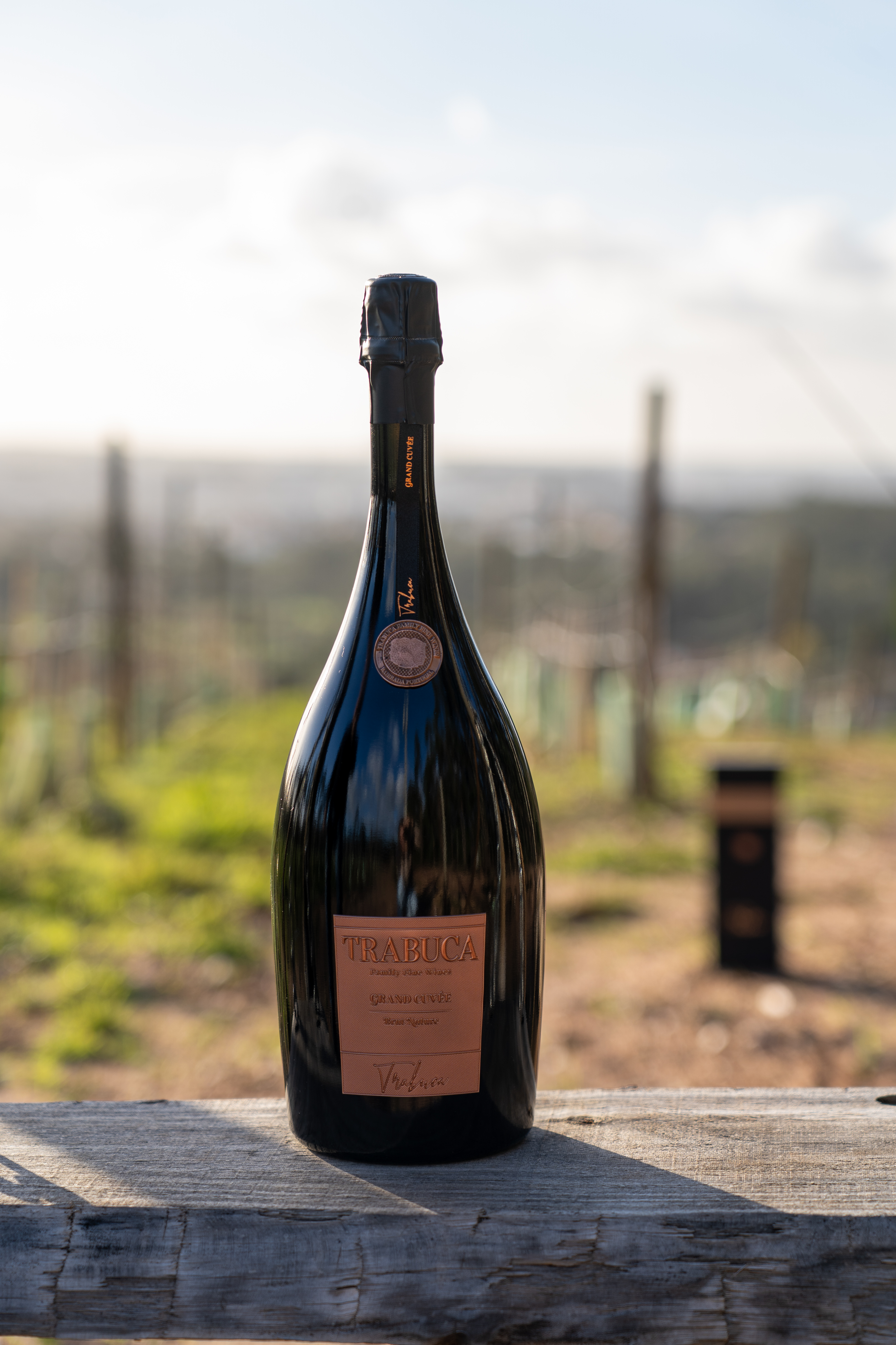 Almoço vínico na vinha do baloiço PGA - Pedro Guilherme de Andrade