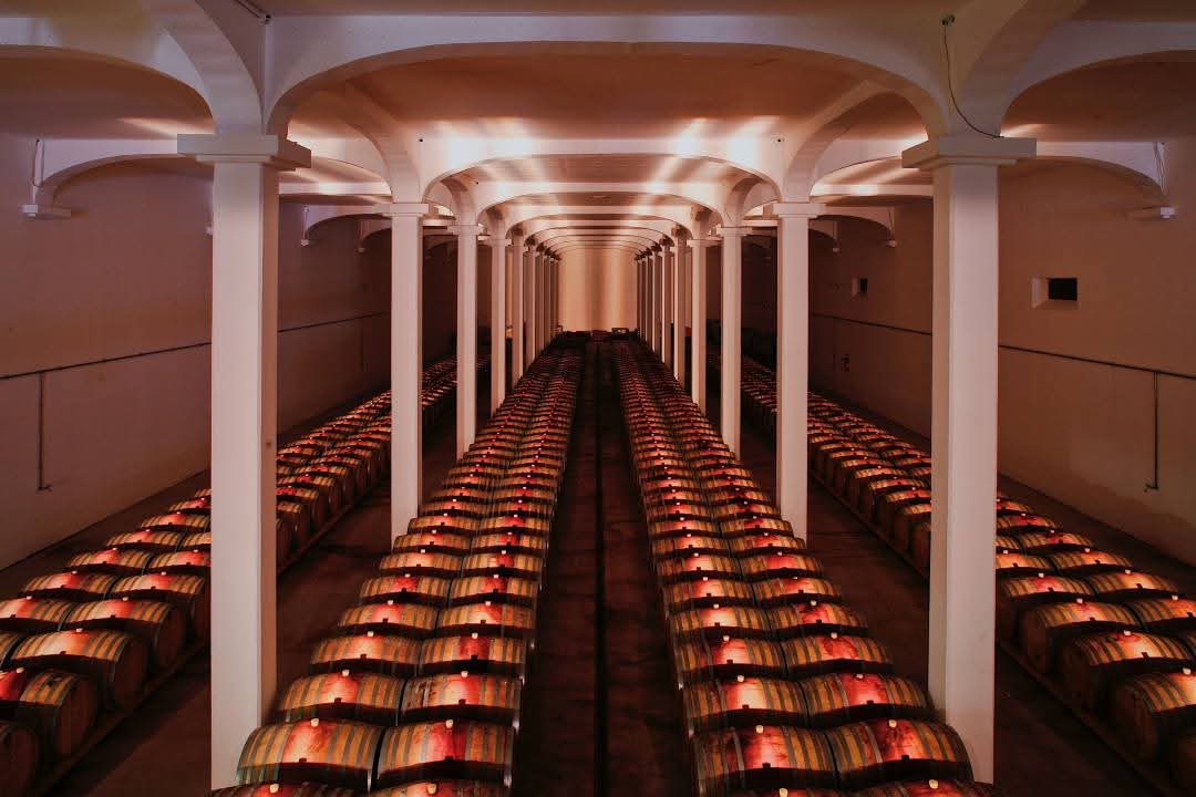 Prova de vinhos São Mateus na Adega Campolargo