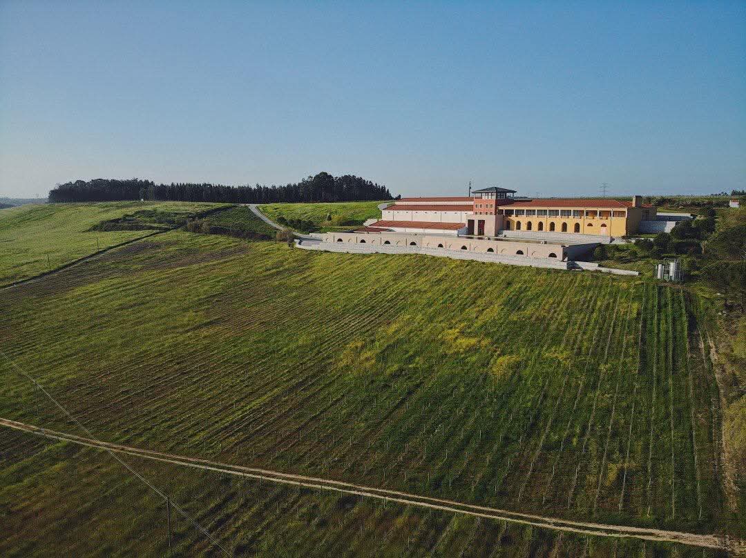 Prova de vinhos São Mateus na Adega Campolargo