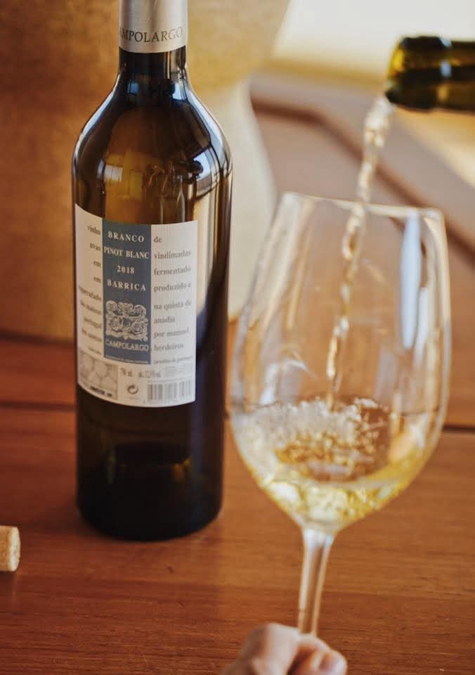 Prova de vinhos São Mateus na Adega Campolargo