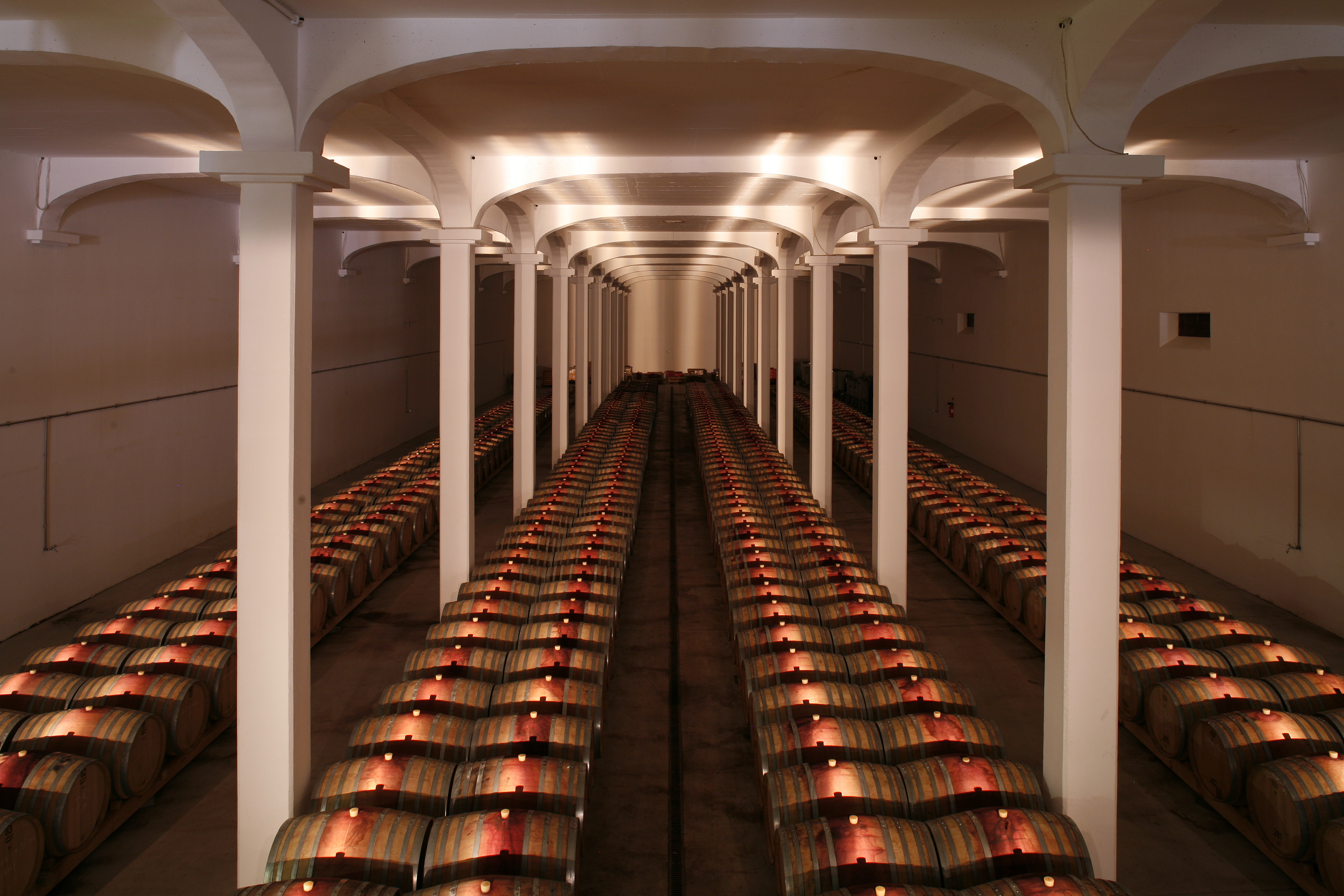 Guided visit to Campolargo Winery