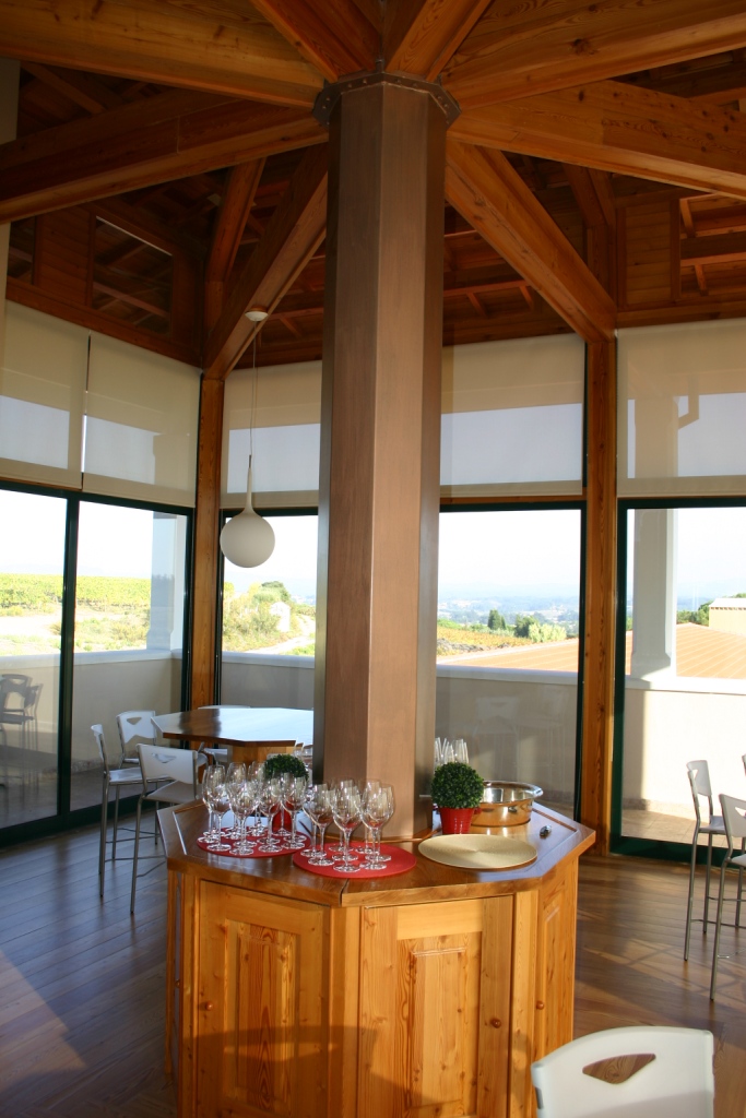 Guided visit to Campolargo Winery