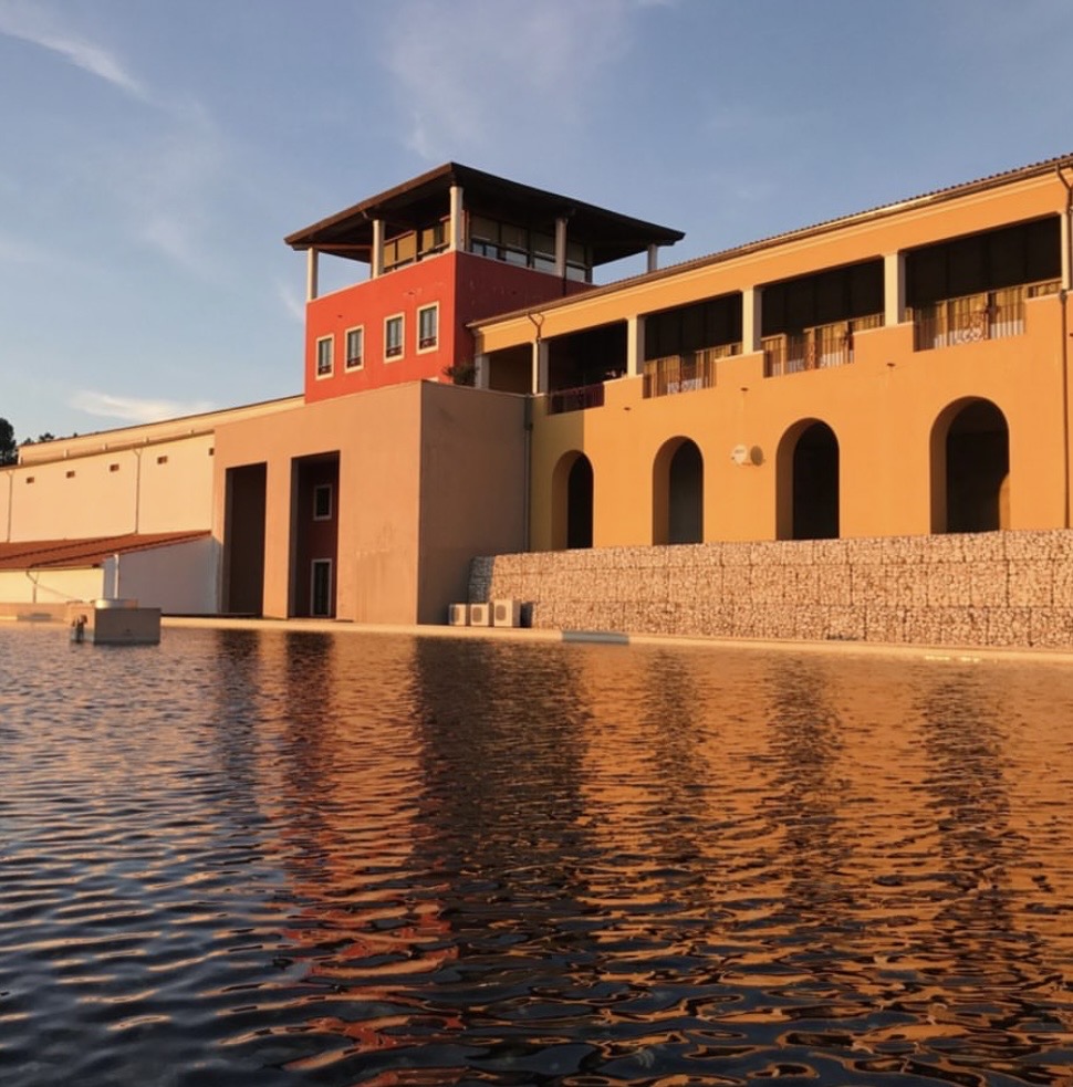 Guided visit to Campolargo Winery