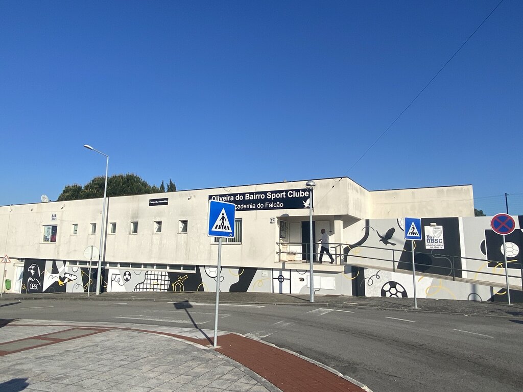 Arte urbano | Oliveira do Bairro