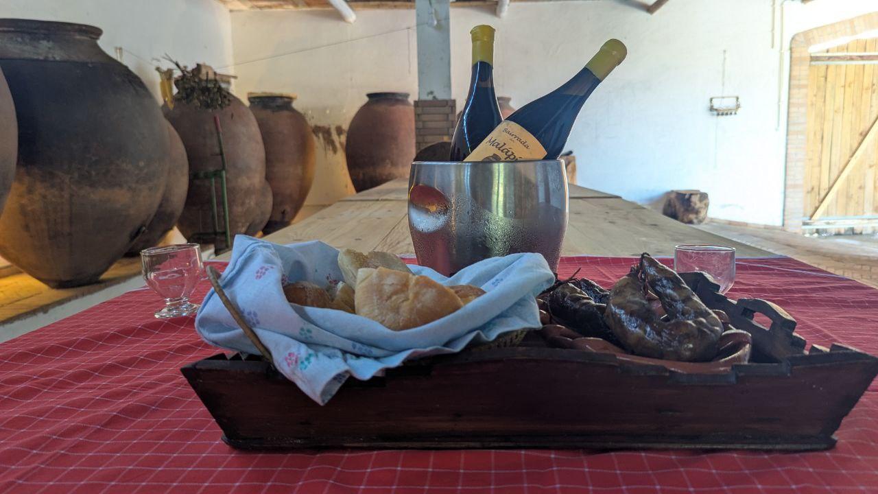 Feel the Harvest: Bairrada in Your Hands | Vinho de Talha Malápio