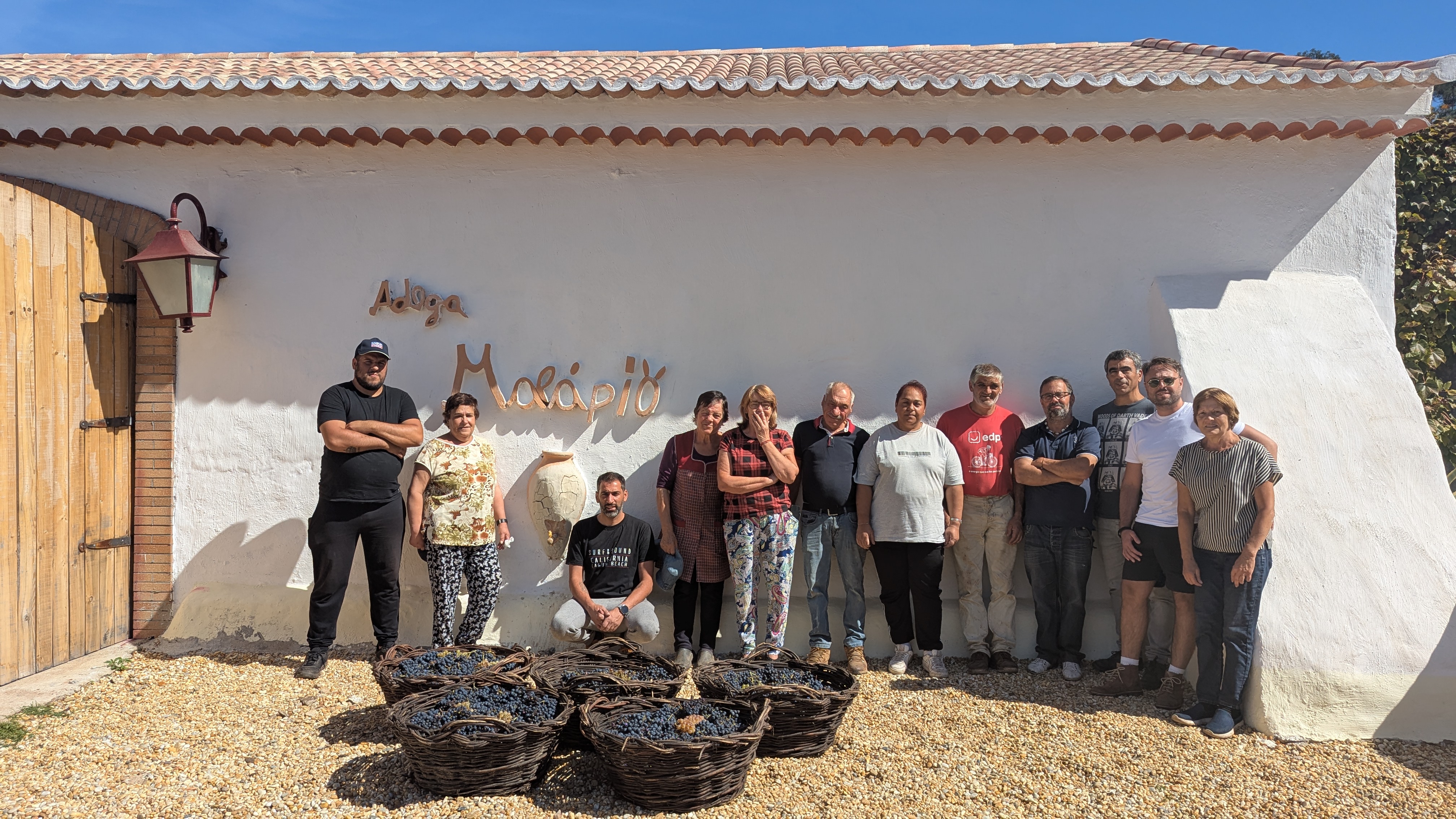 Feel the Harvest: Bairrada in Your Hands | Vinho de Talha Malápio